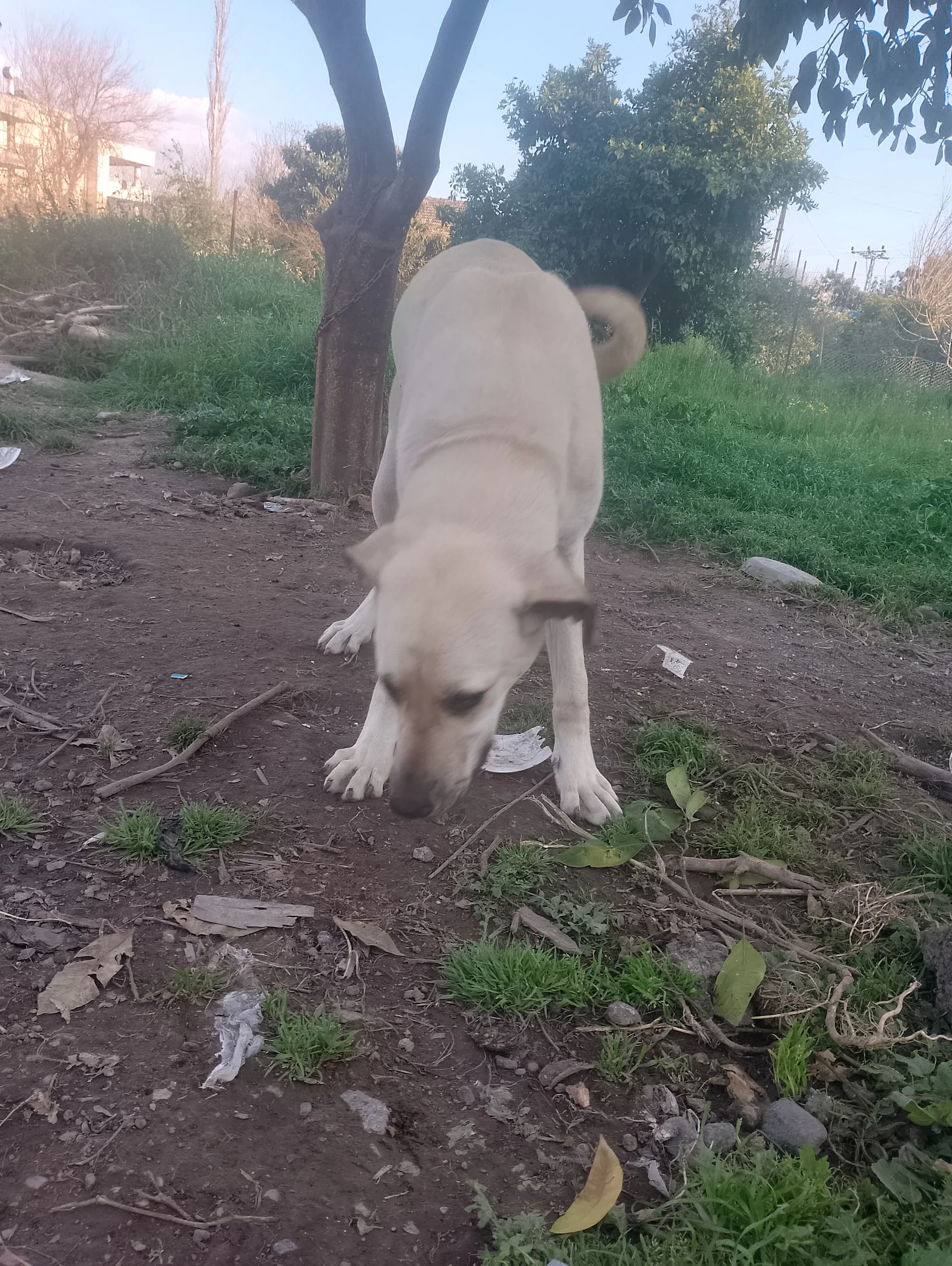 IMG_20240324_174808_HDR