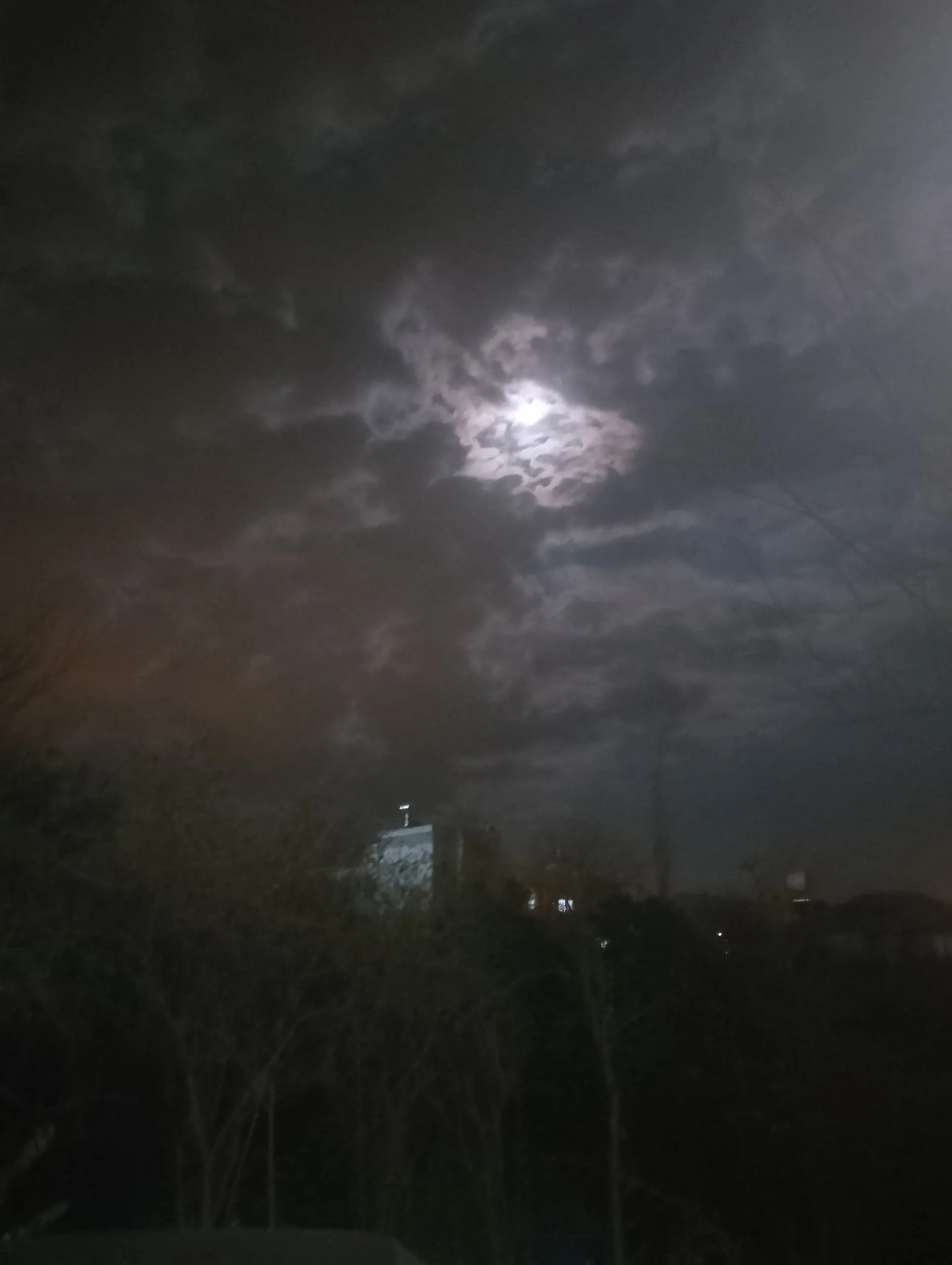 IMG_20240324_210004_HDR