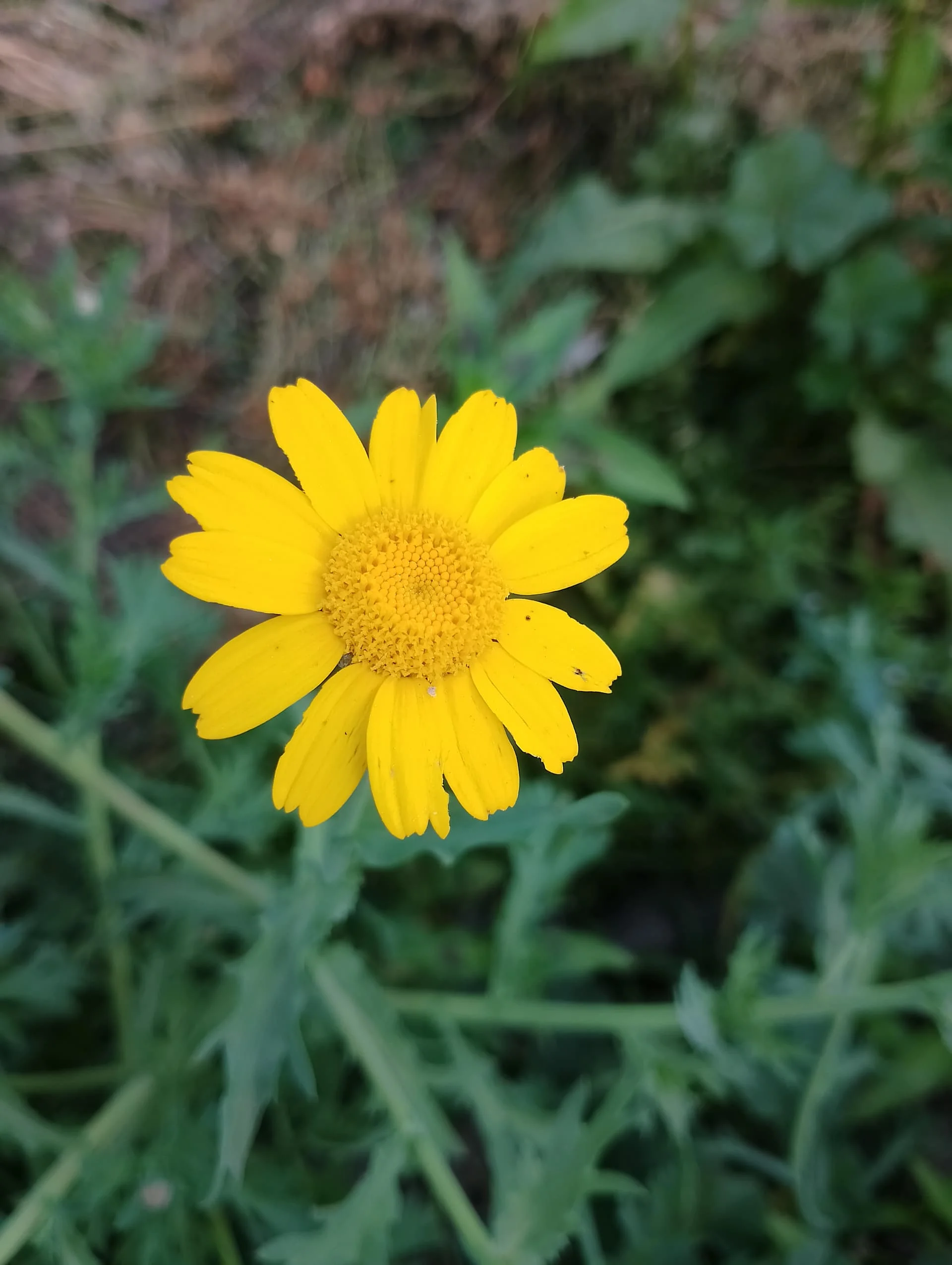 IMG_20240403_163629_HDR