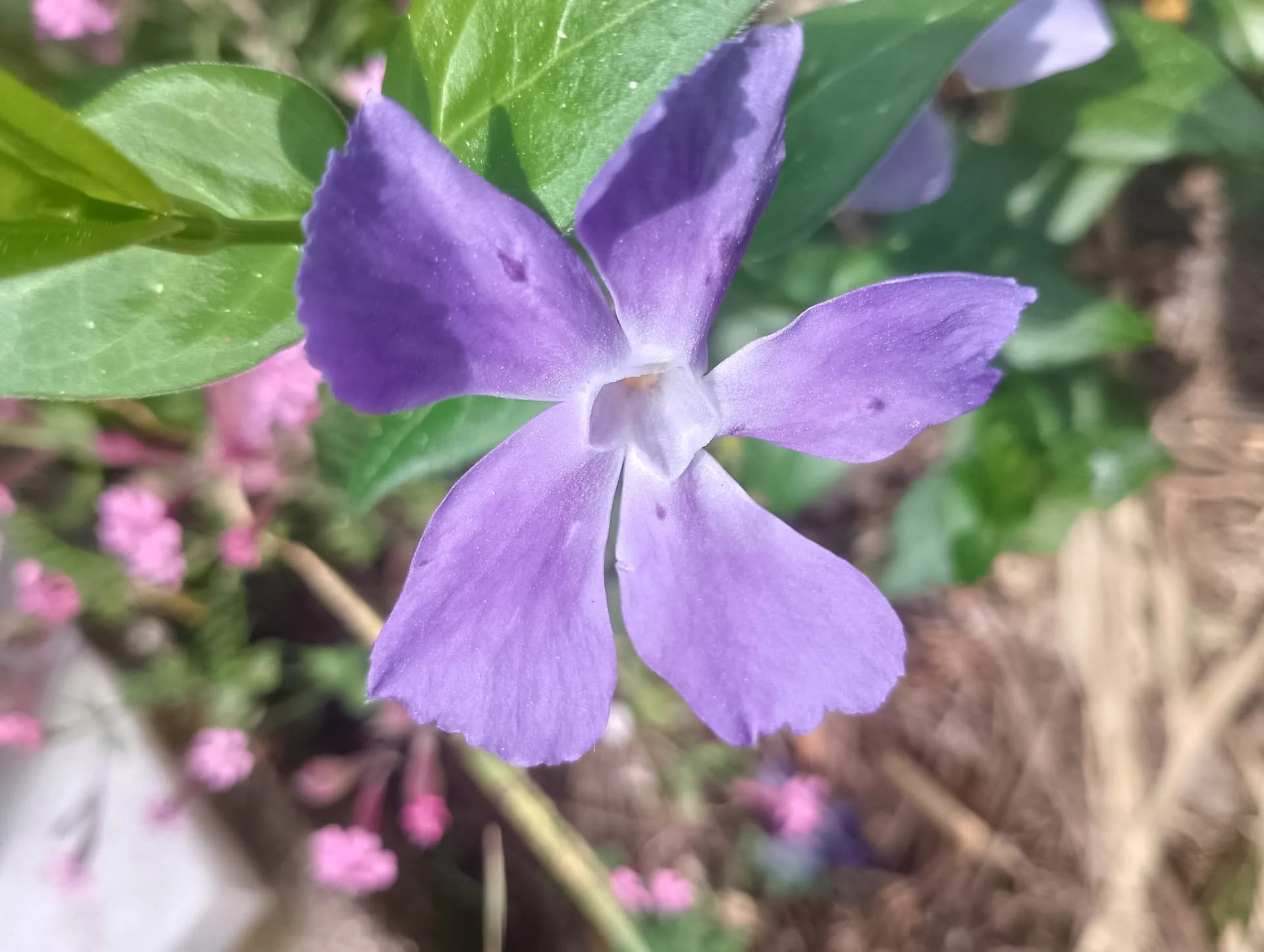 IMG_20240407_112507_HDR