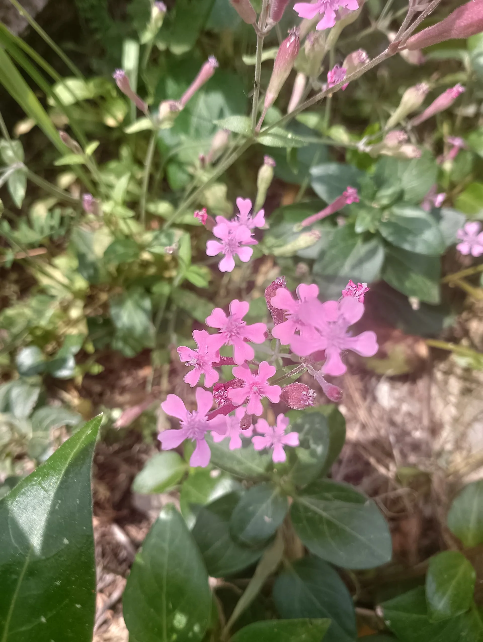 IMG_20240407_112515_HDR