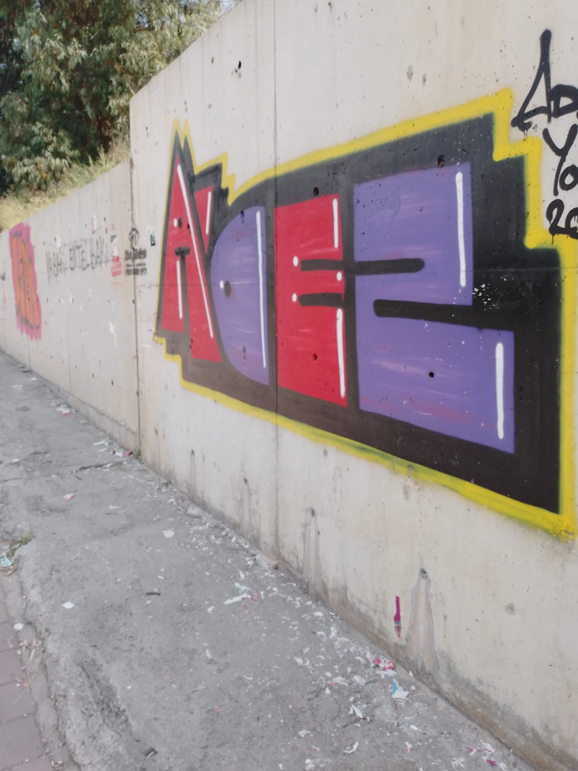 IMG_20240407_131911_350