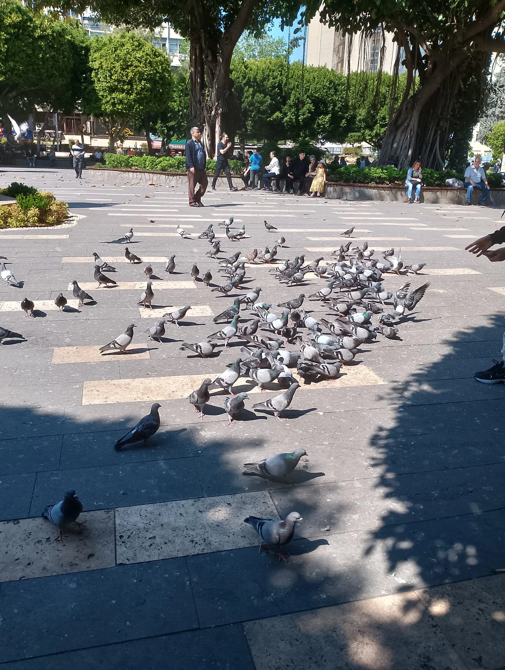 IMG_20240411_144846_HDR