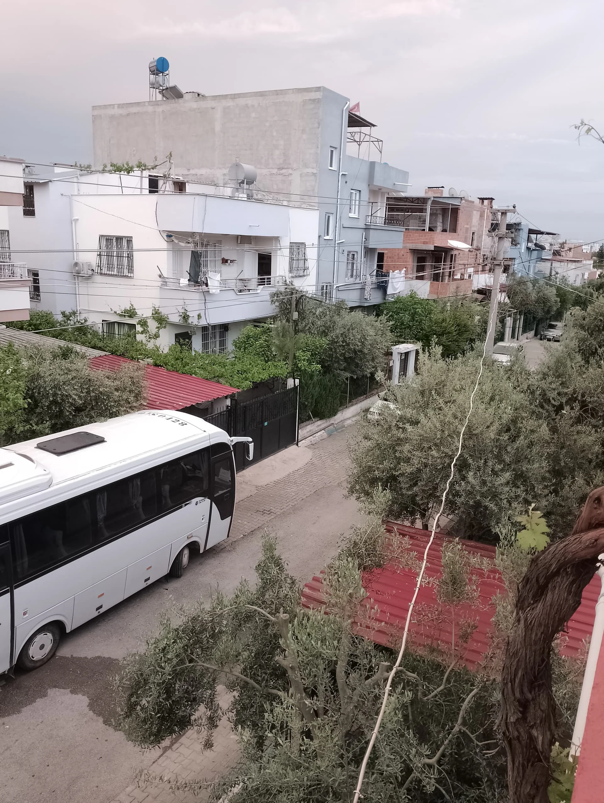 IMG_20240411_185854_HDR