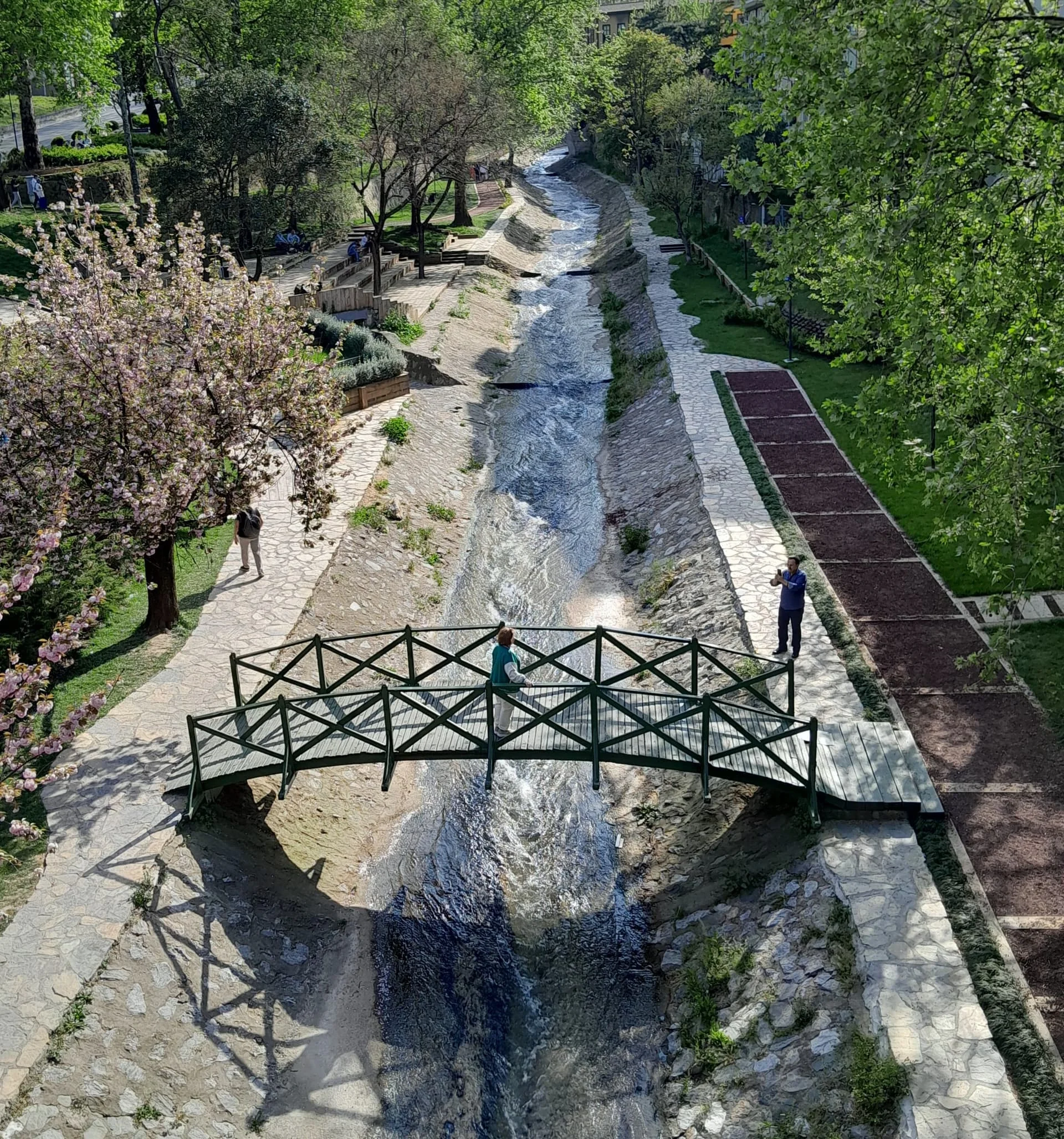 IMG_20240413_172401_384