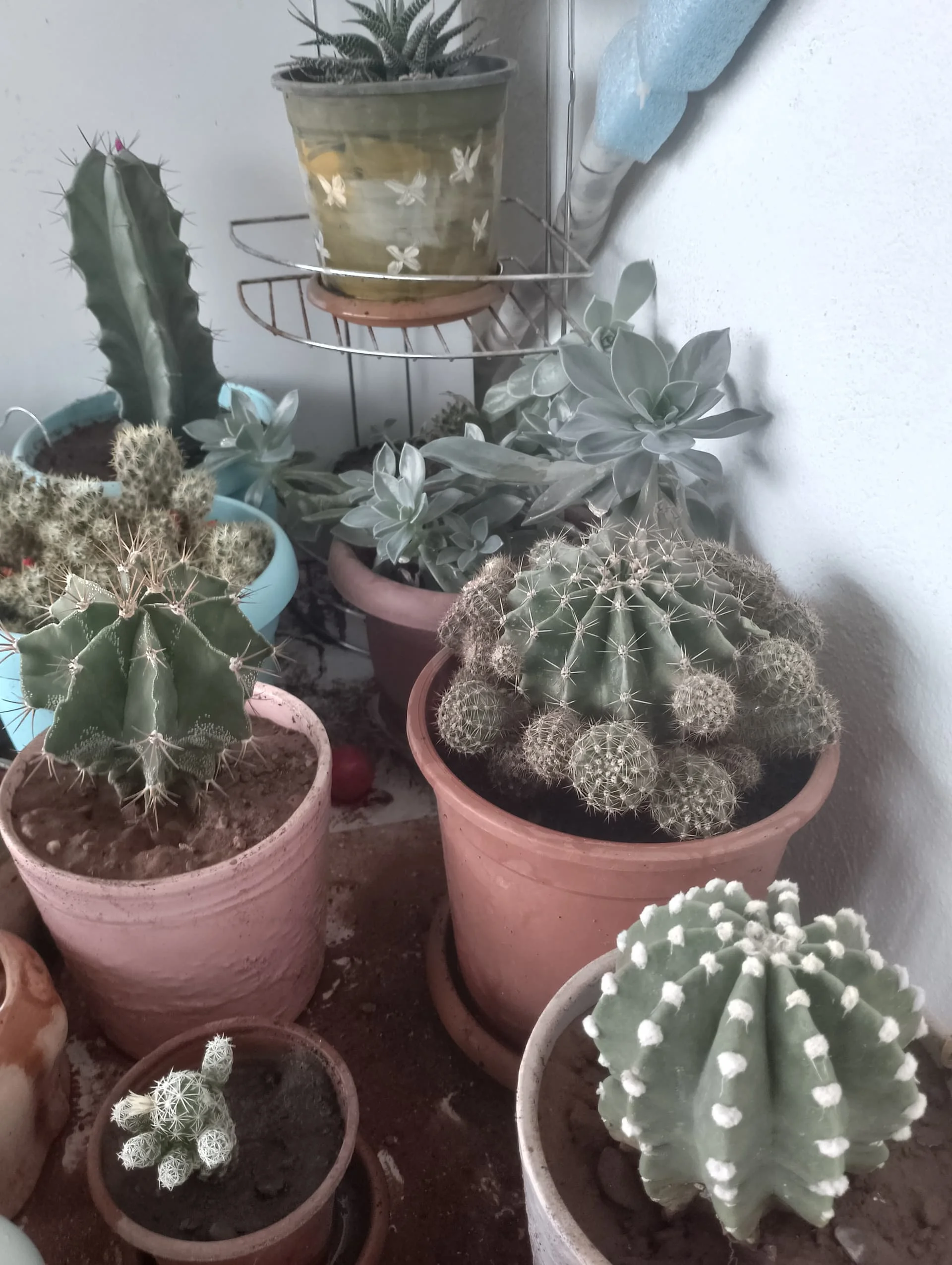 IMG_20240420_155618_HDR