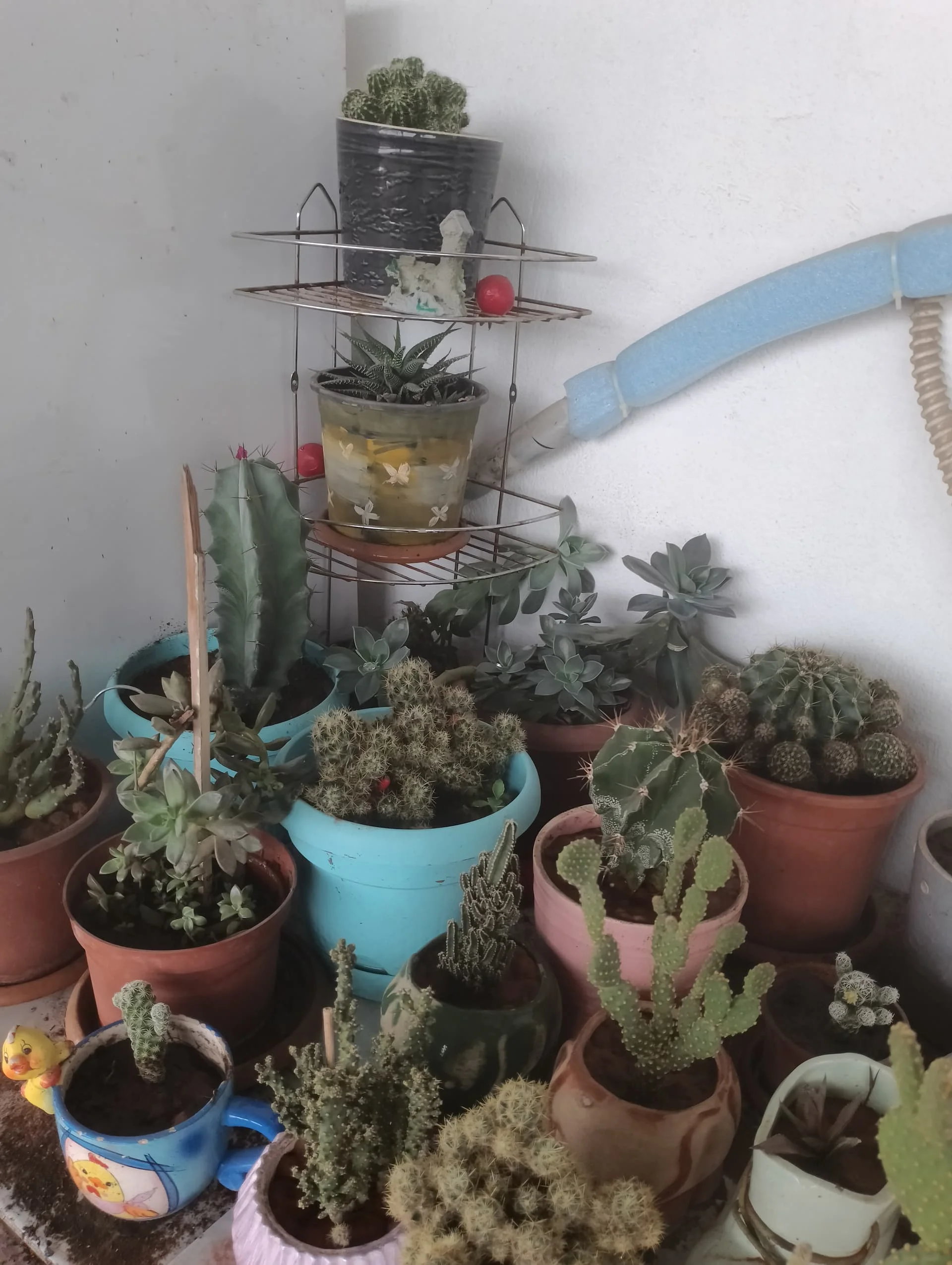 IMG_20240420_155630_HDR