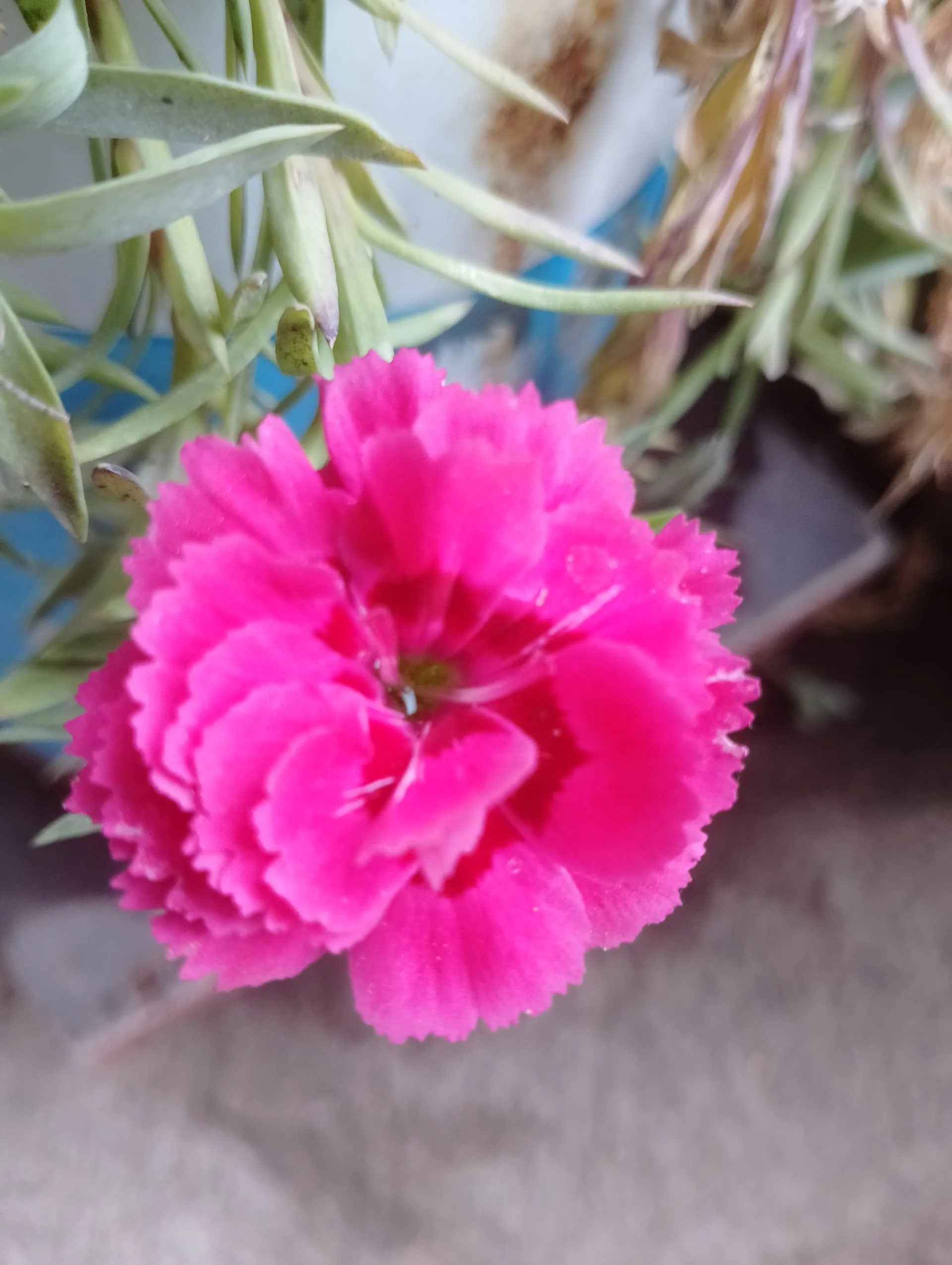 IMG_20240420_155812_HDR