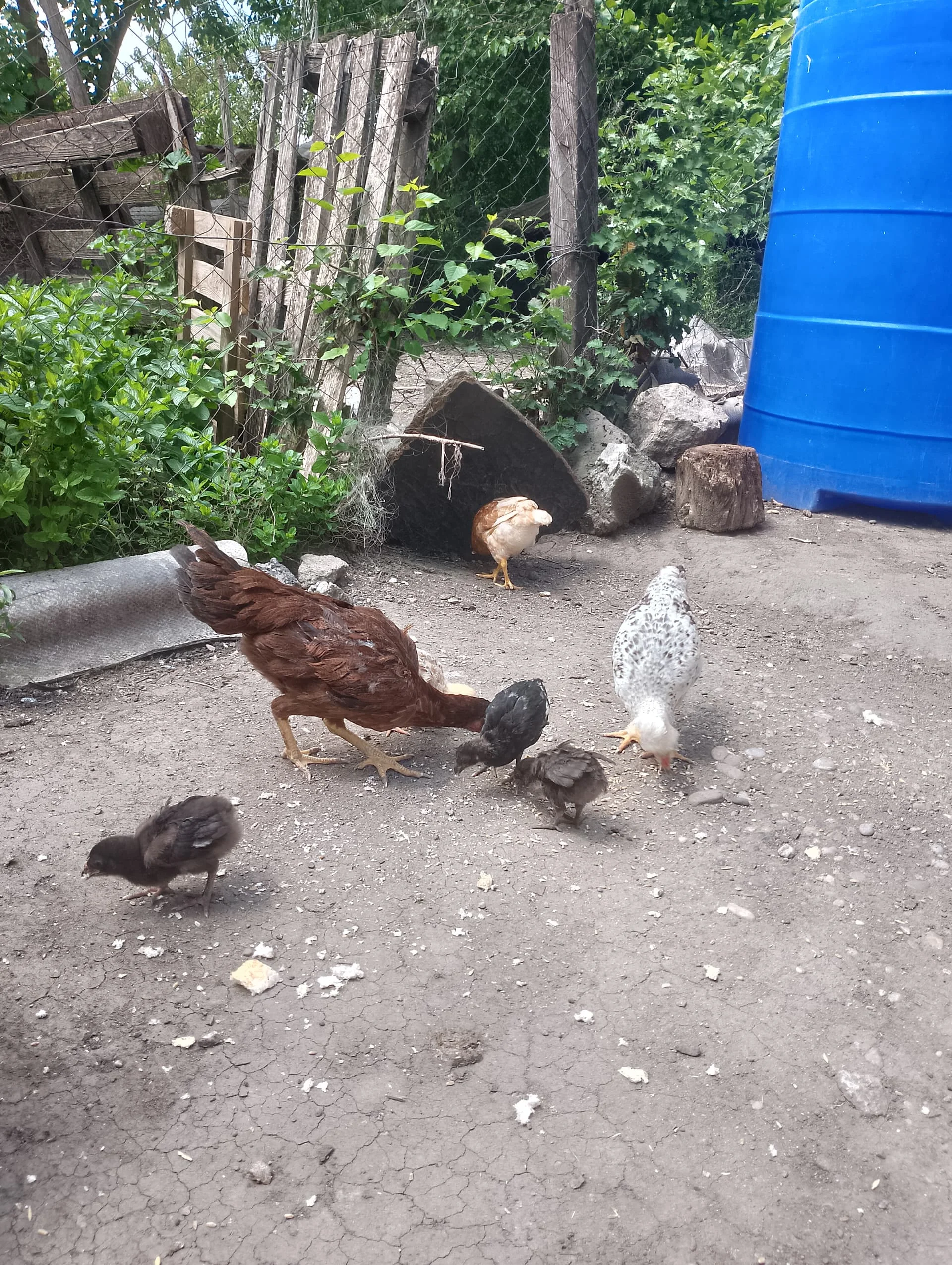 IMG_20240421_120610_HDR