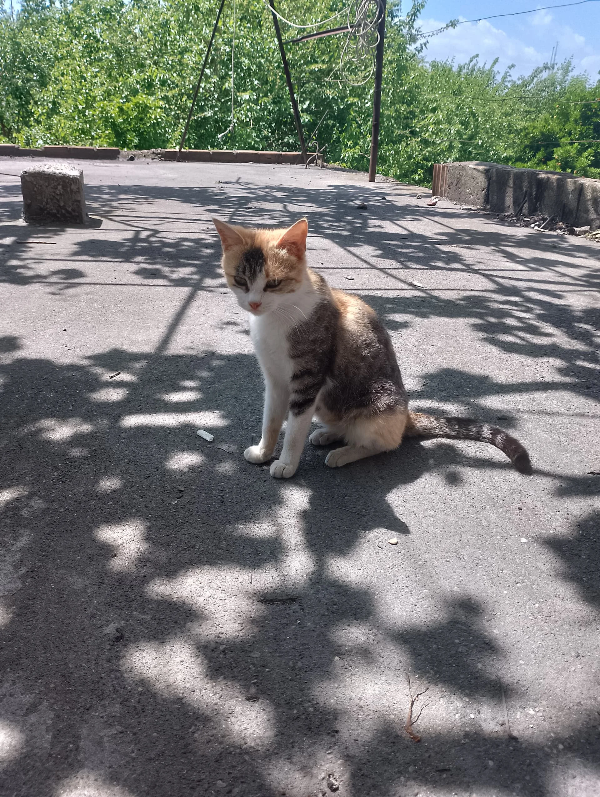 IMG_20240421_122654_HDR