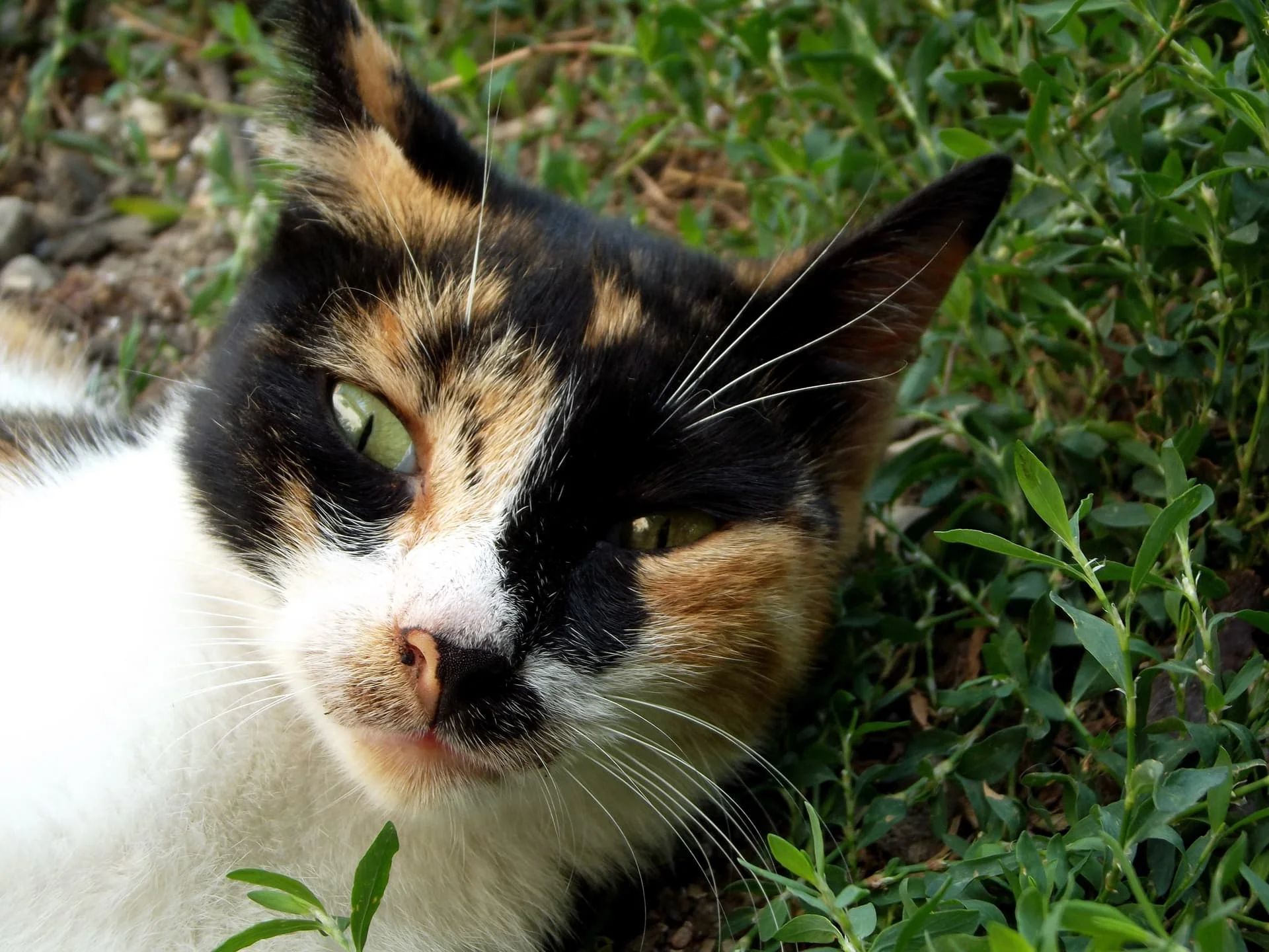 IMG_20240422_114100_283