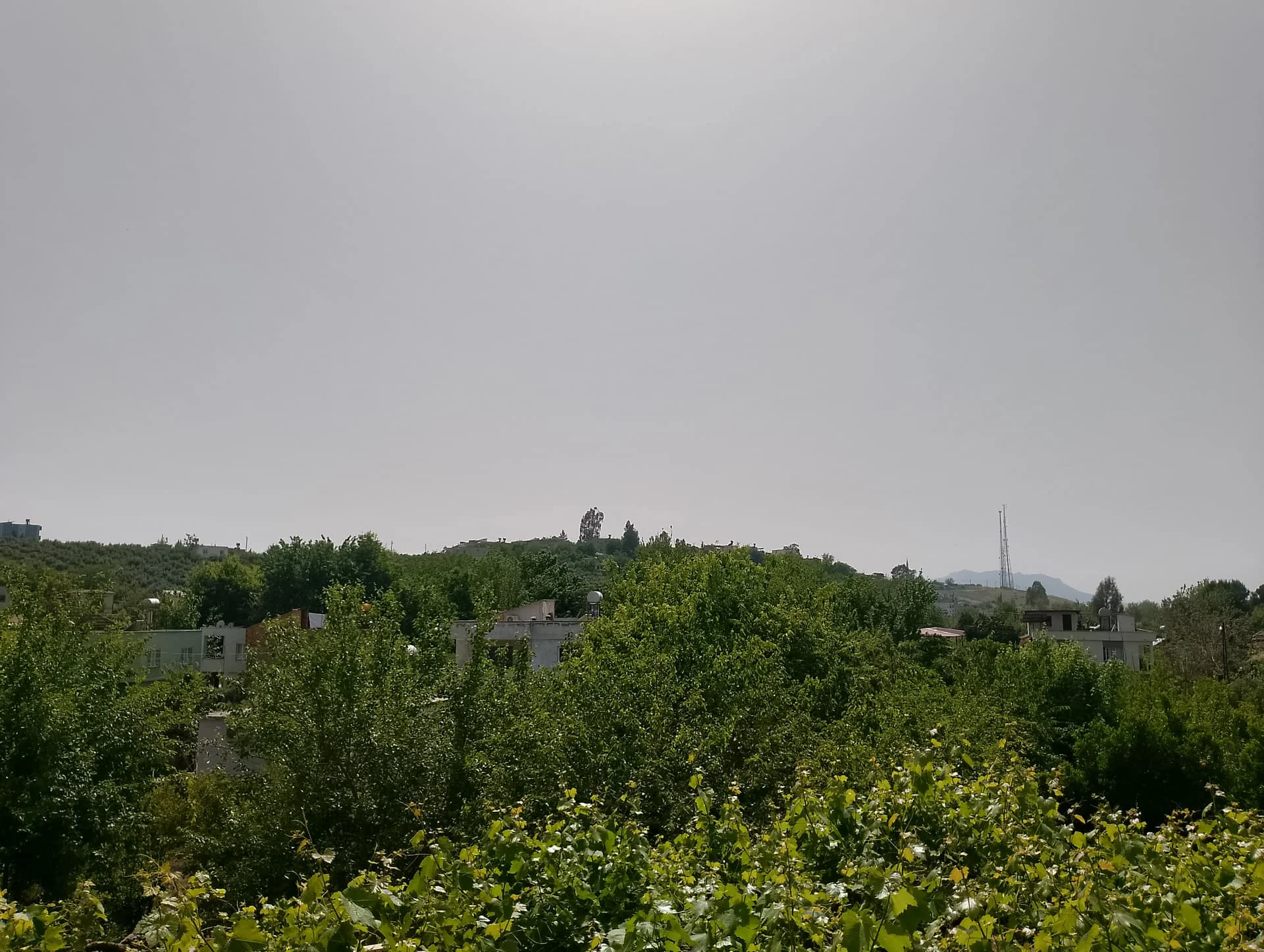 IMG_20240423_144355_HDR