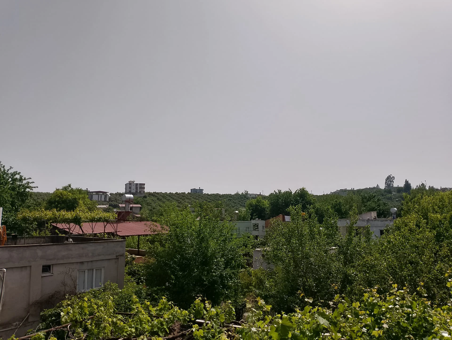 IMG_20240423_144403_HDR