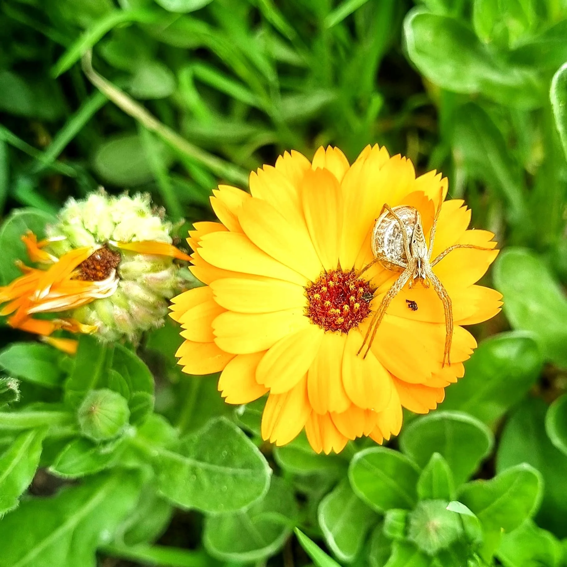 IMG_20240427_174844_834