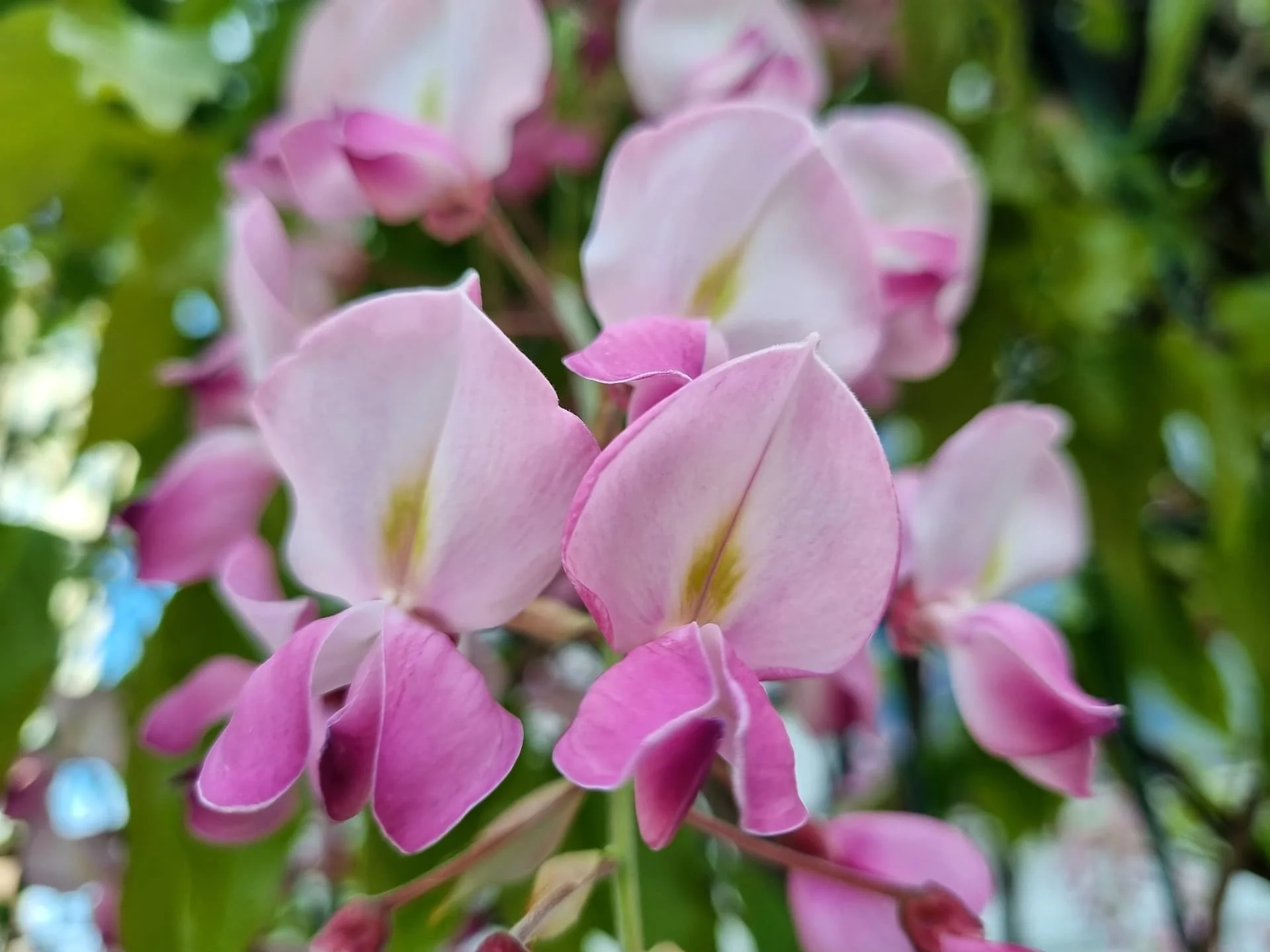 IMG_20240428_104339_554