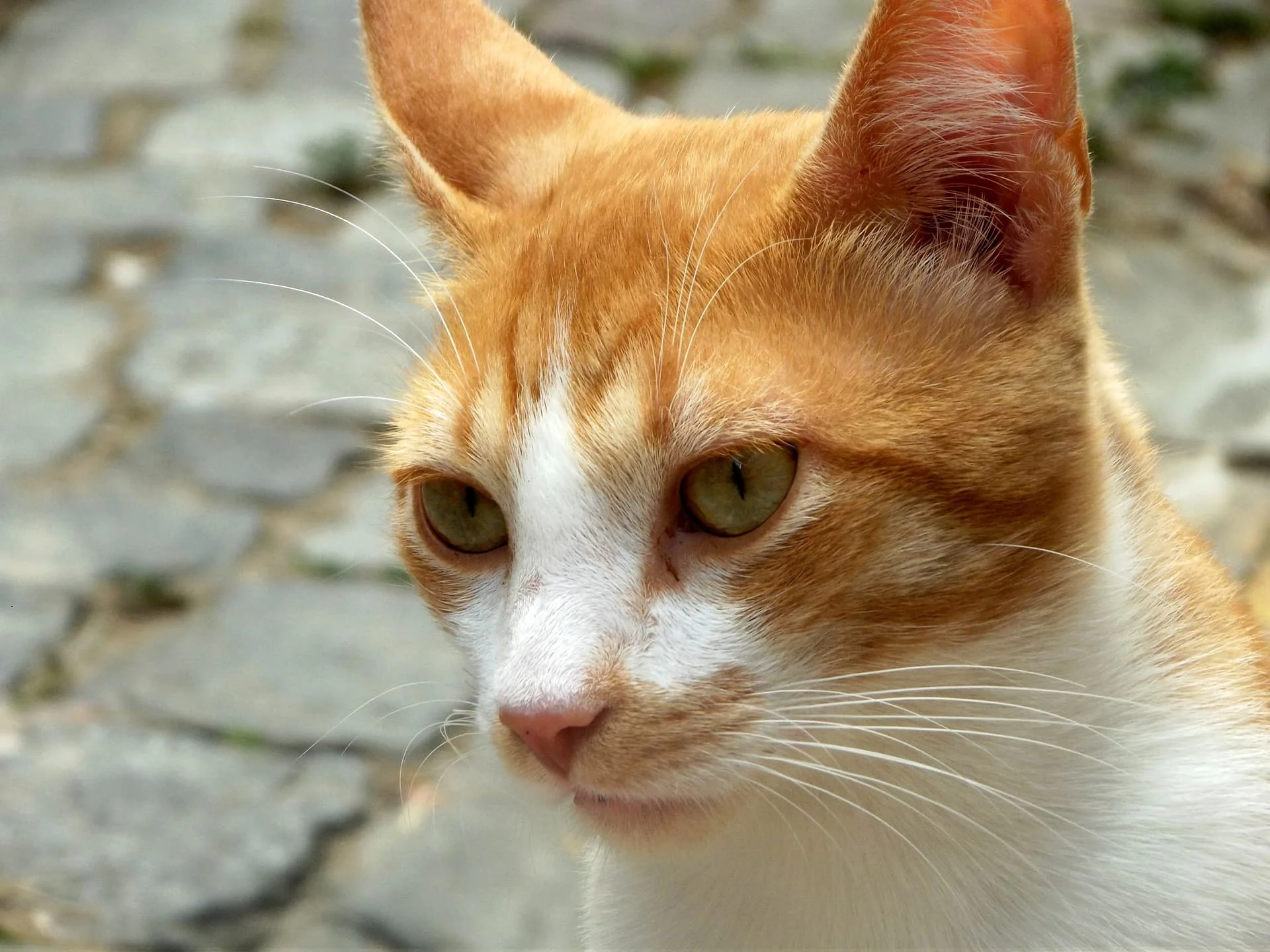 IMG_20240430_230329_594