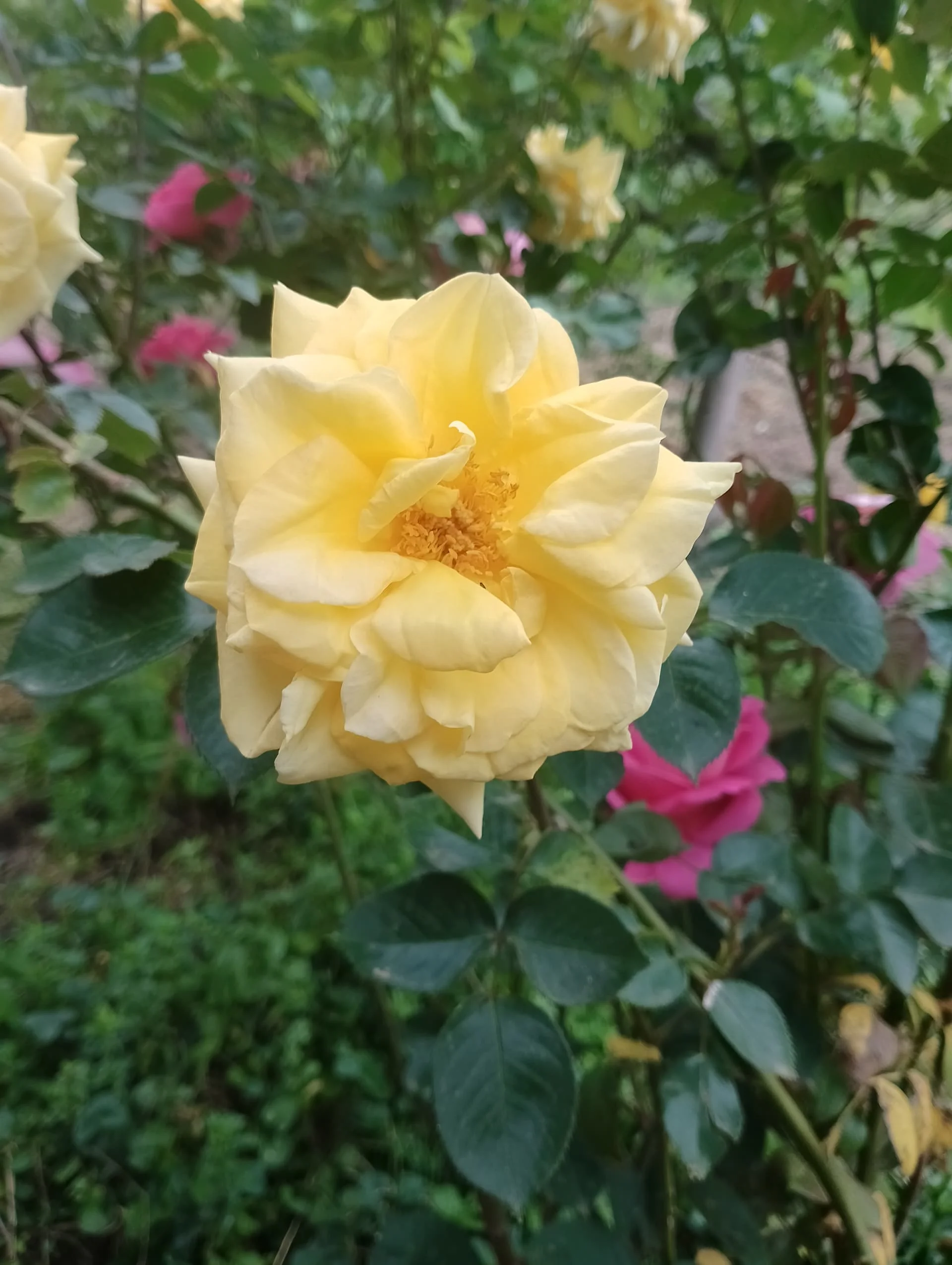 IMG_20240501_110314_HDR