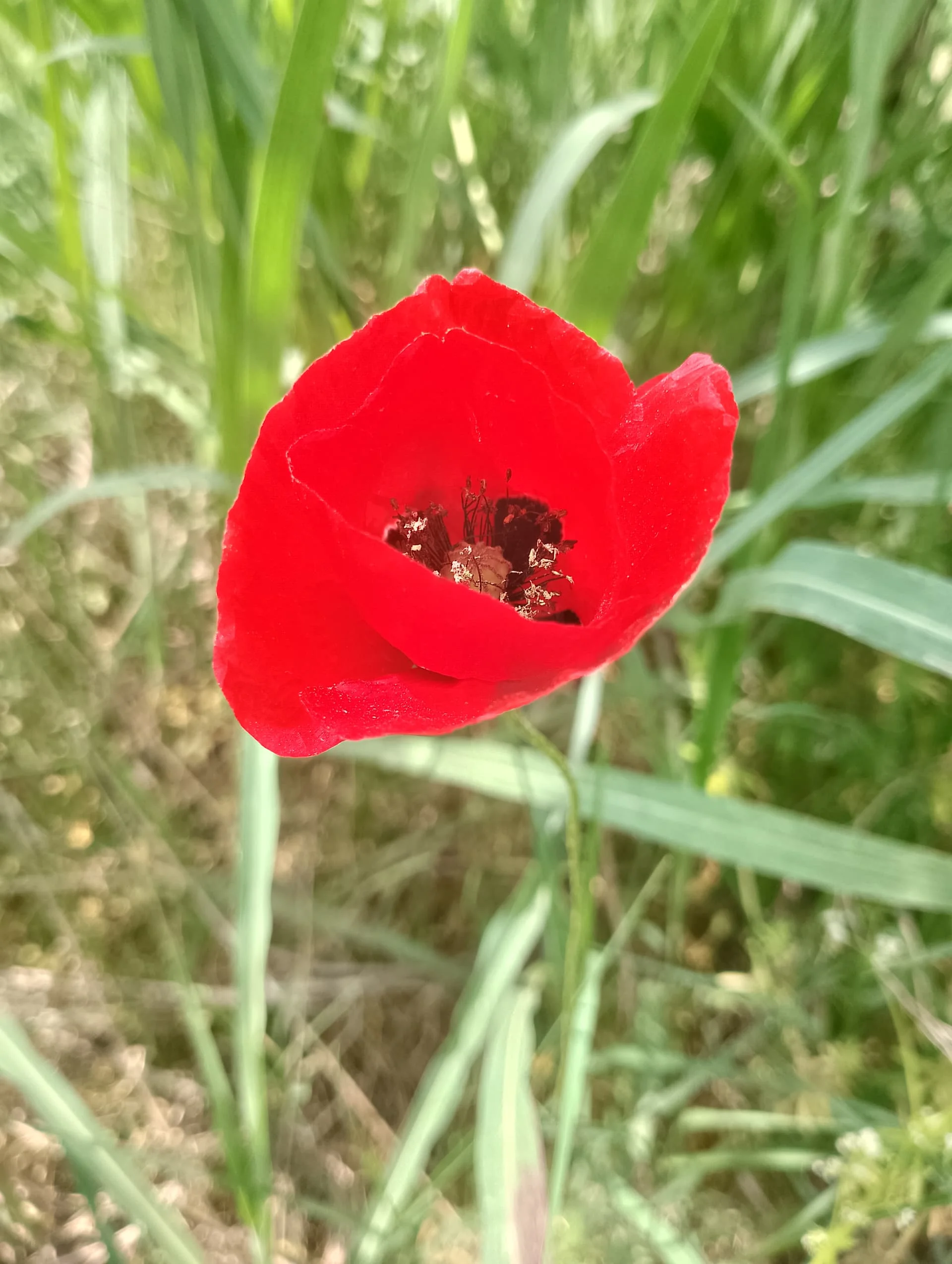 IMG_20240501_132546_HDR