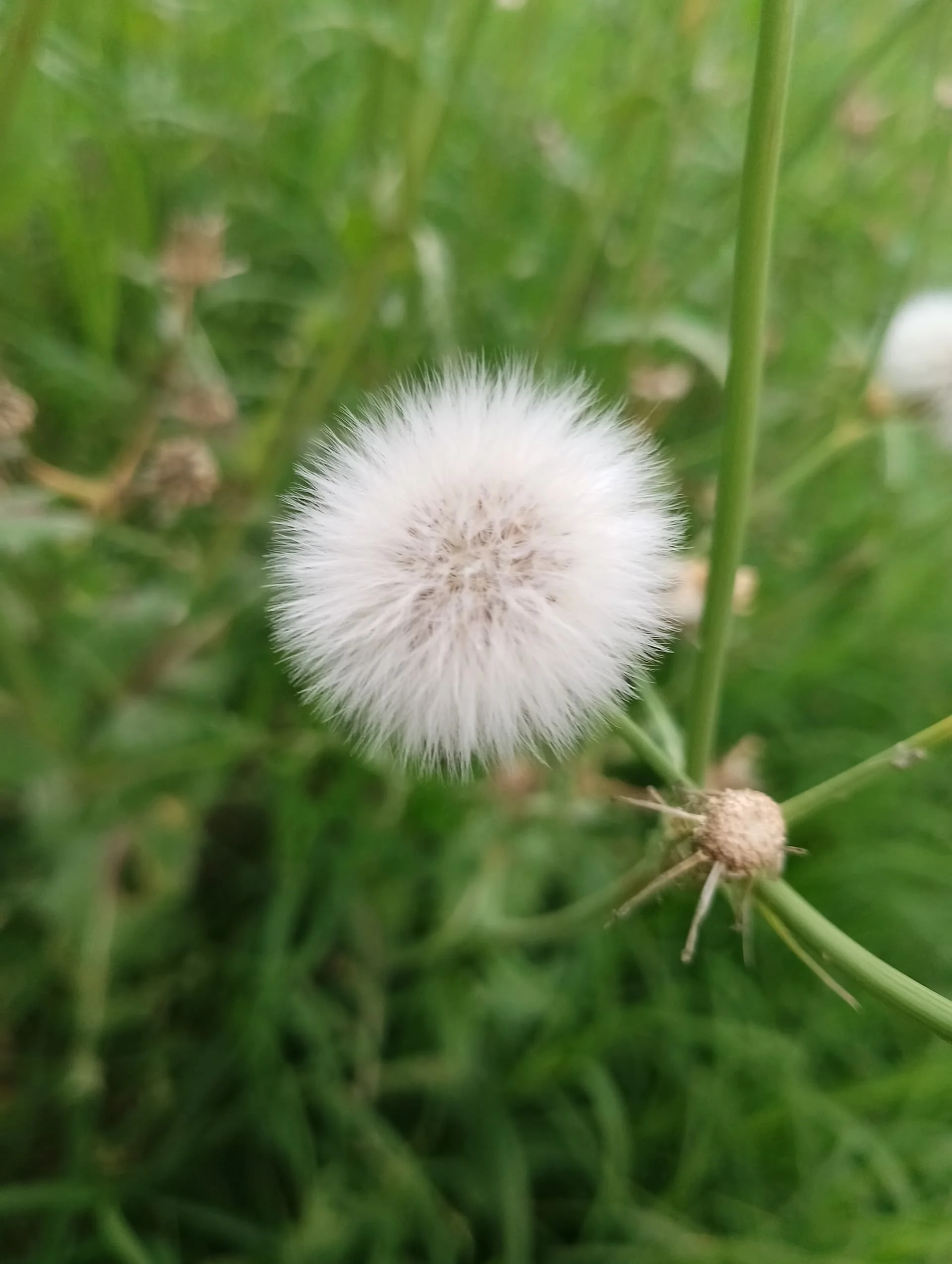 IMG_20240501_133806_HDR