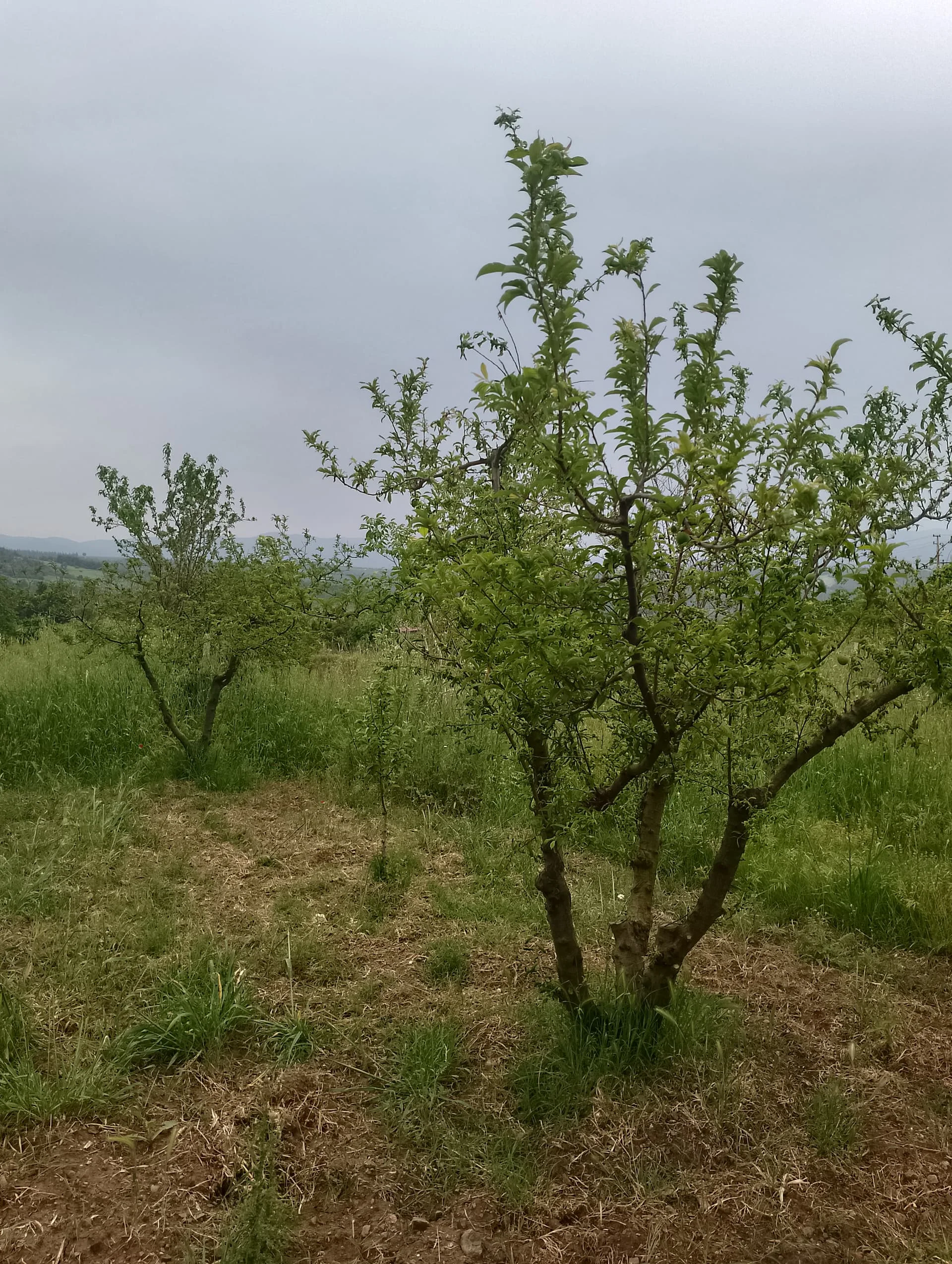 IMG_20240501_150413_HDR