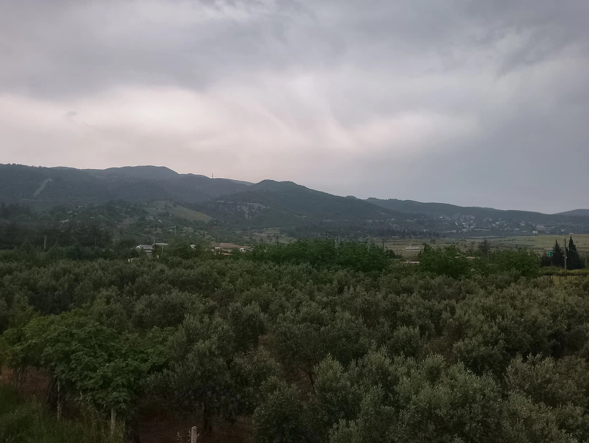 IMG_20240501_150619_HDR