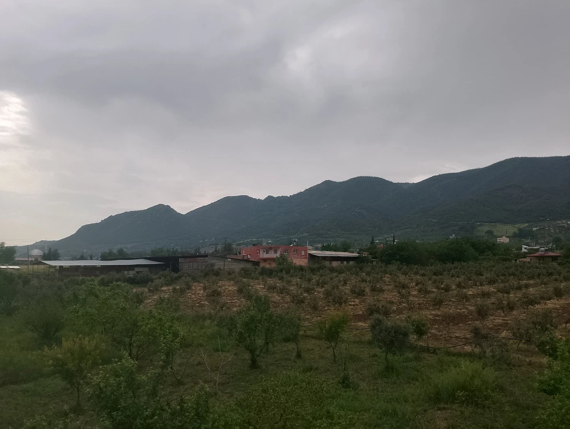 IMG_20240501_150651_HDR