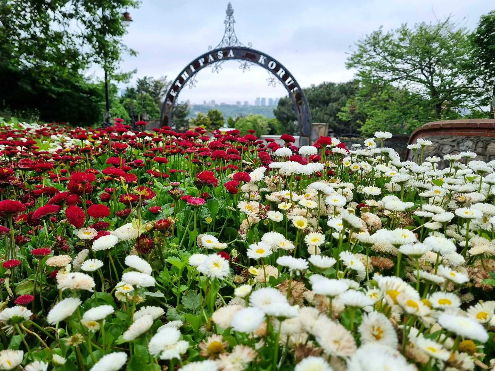 IMG_20240501_210516_864