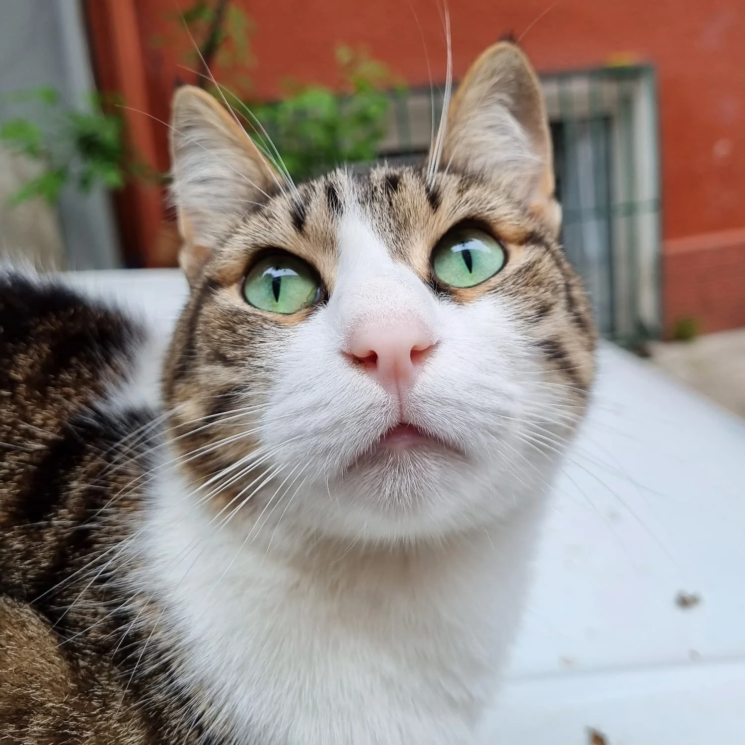 IMG_20240502_101720_166