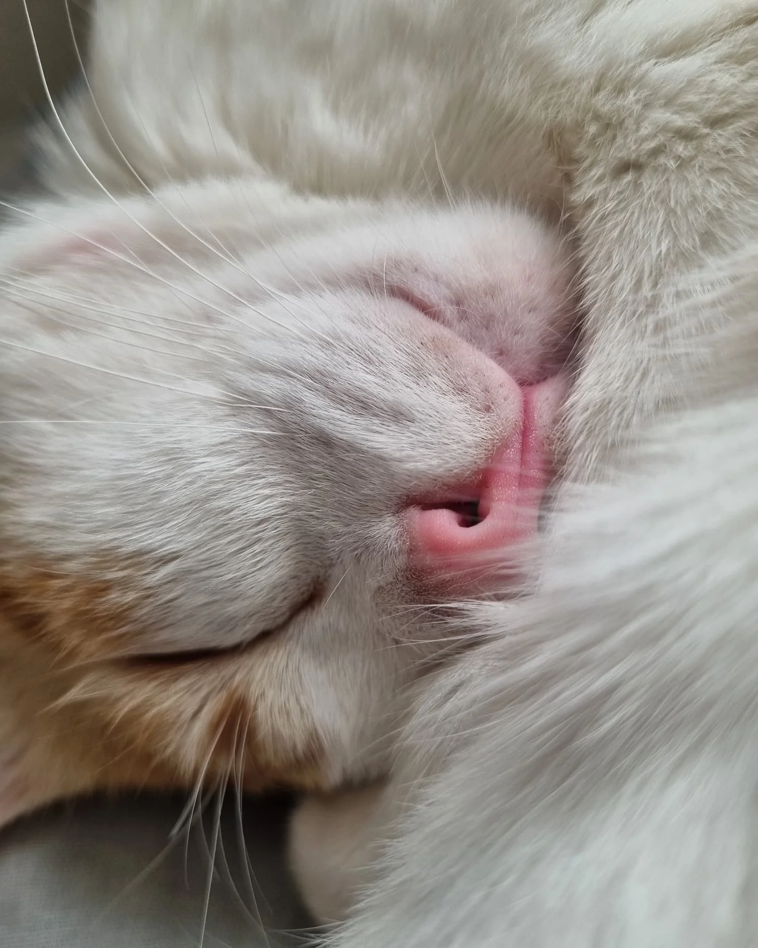 IMG_20240503_145743_756