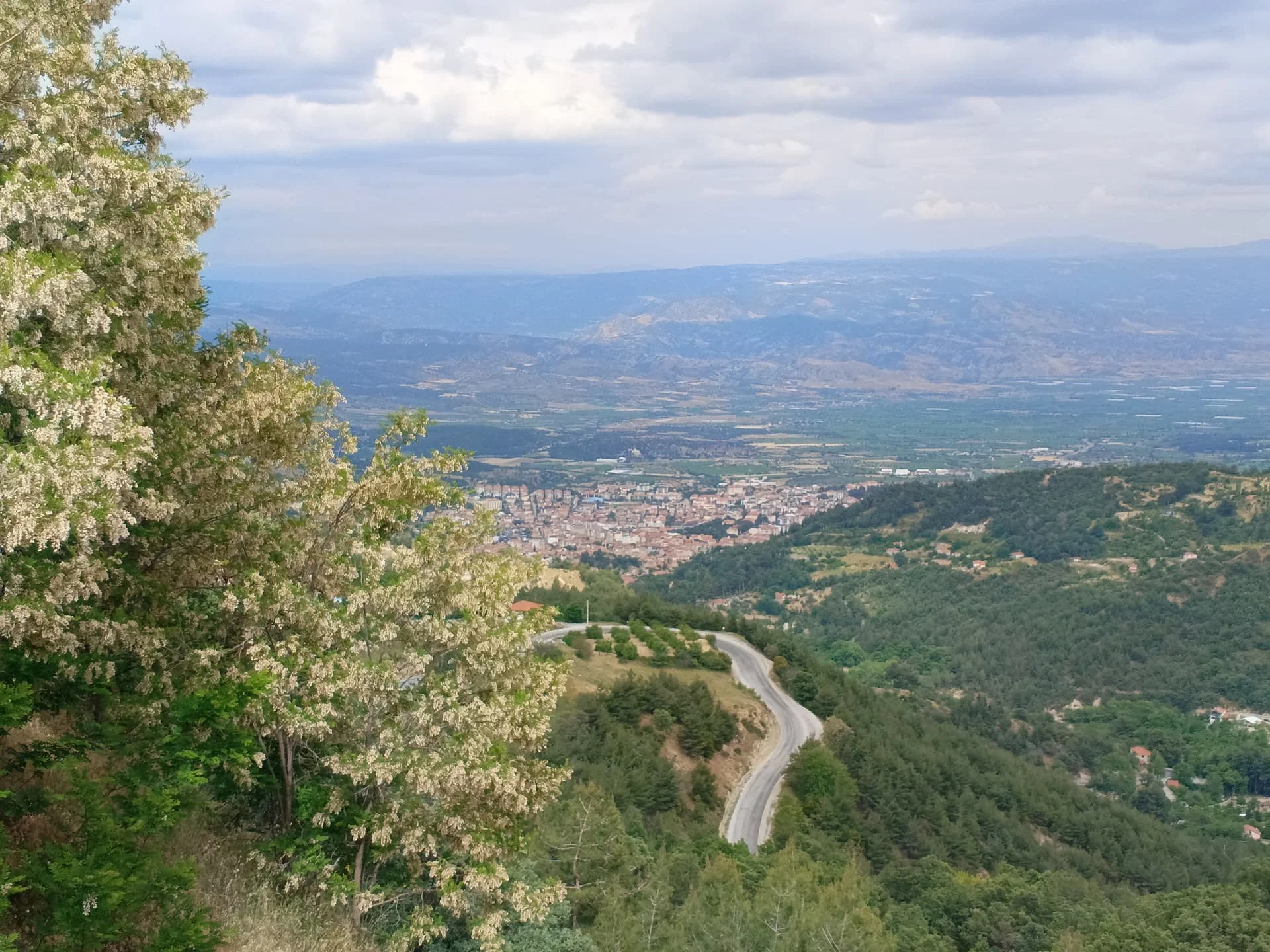 IMG_20240512_163201_676