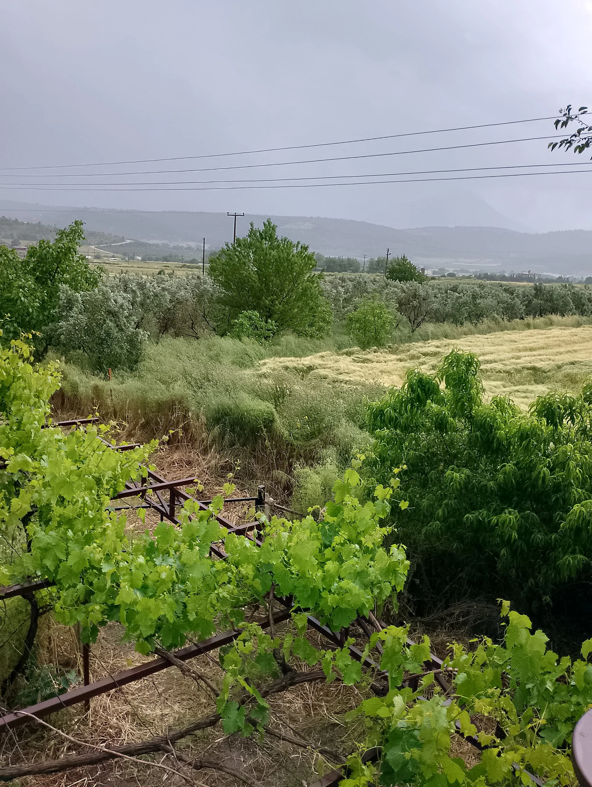 IMG_20240512_164233_HDR