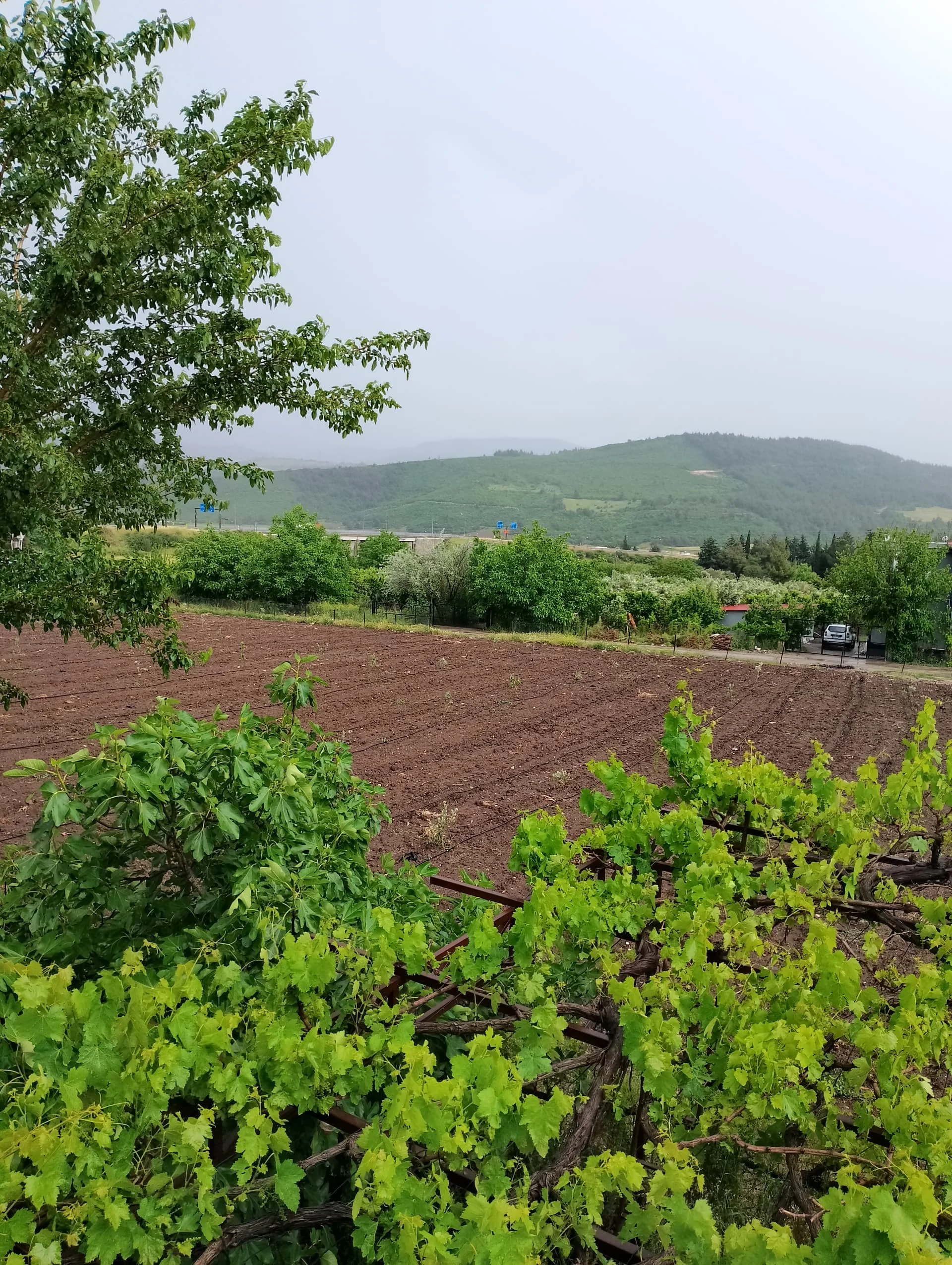 IMG_20240512_164238_HDR