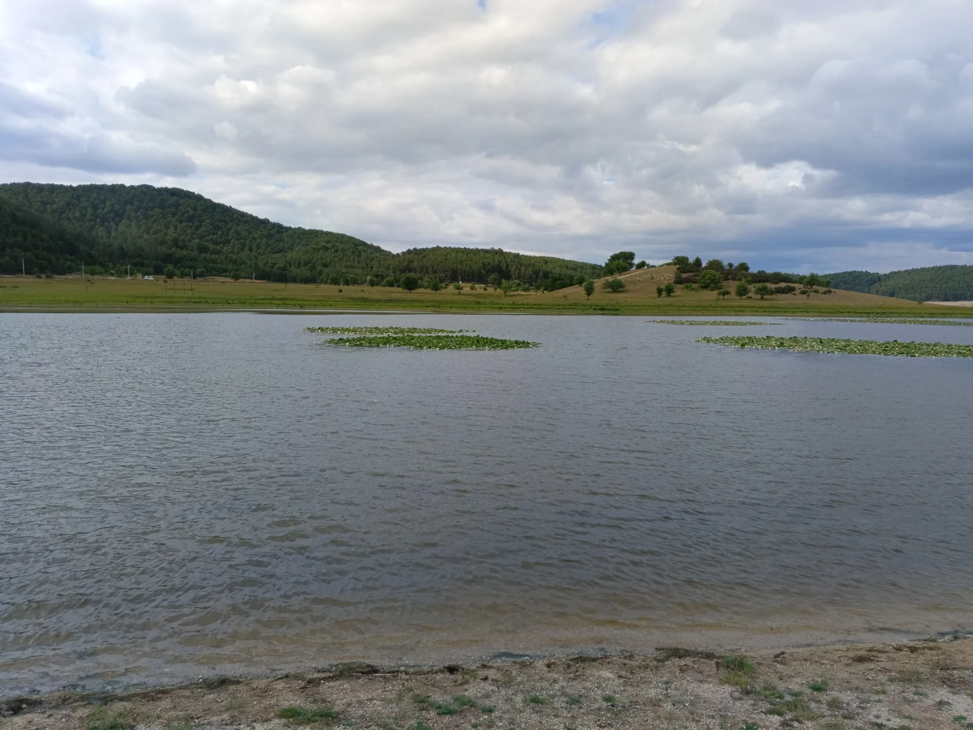 IMG_20240512_164421_569