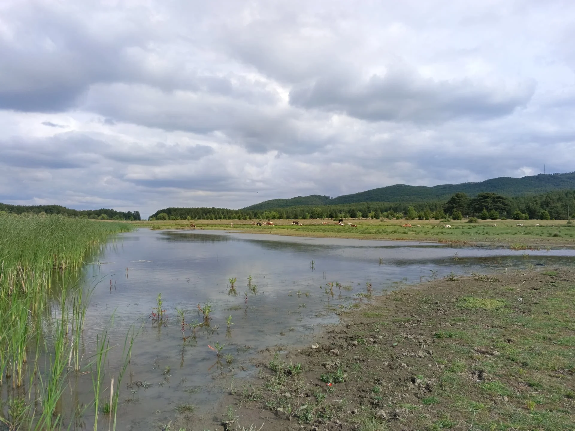 IMG_20240512_164840_286