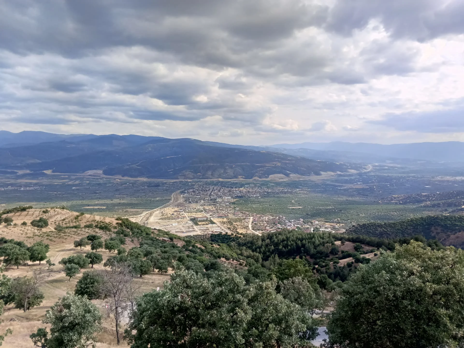 IMG_20240512_173103_571