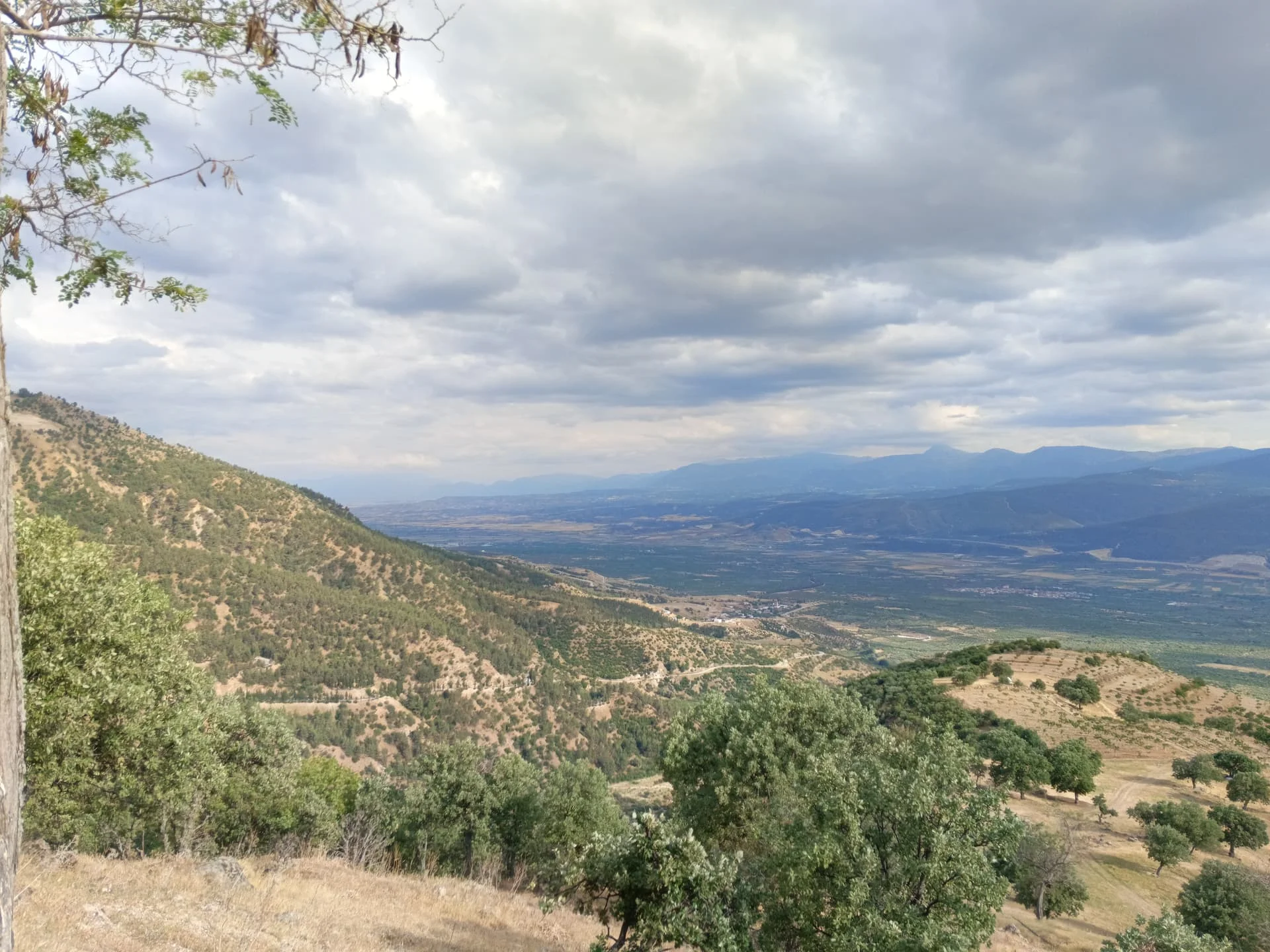 IMG_20240512_173108_061