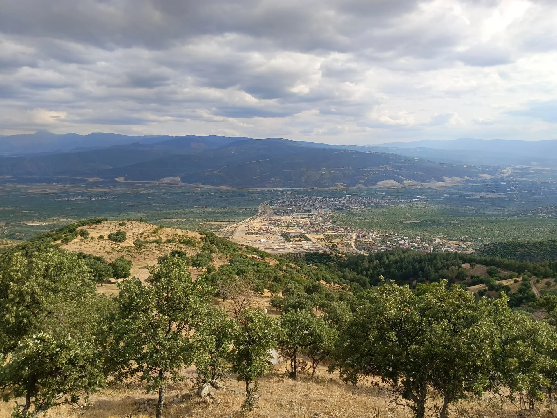 IMG_20240512_173207_021