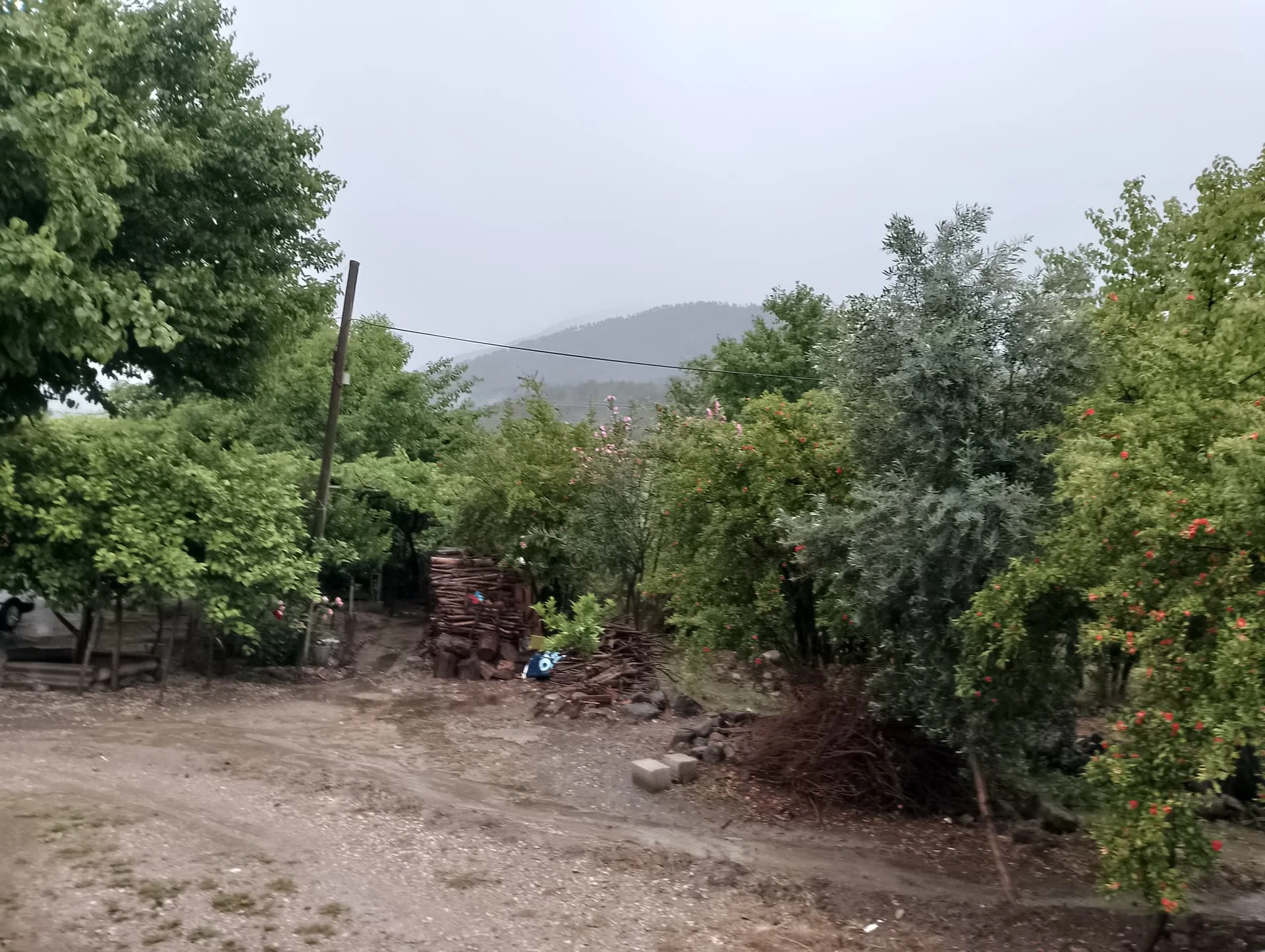 IMG_20240512_182642_HDR