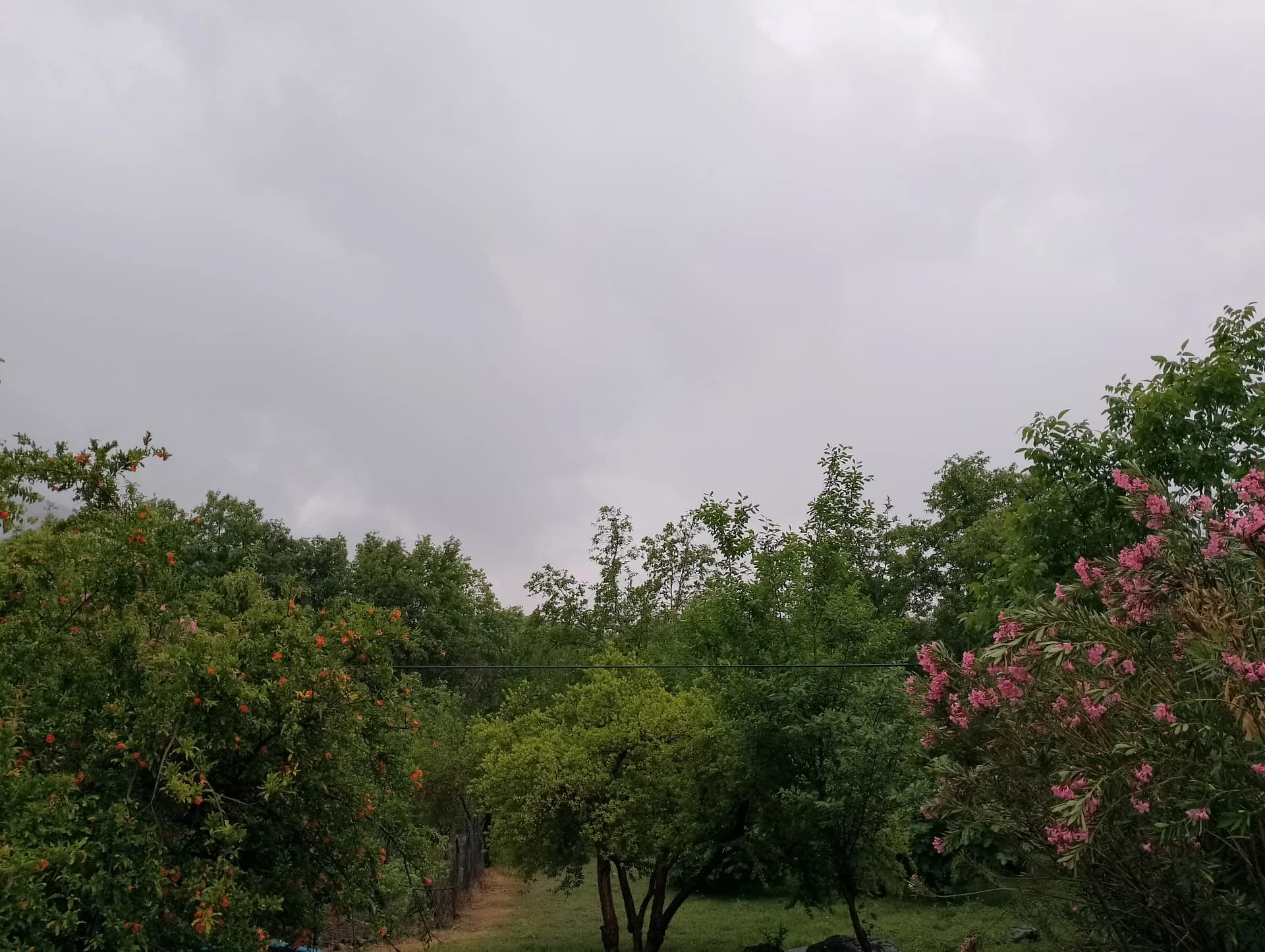 IMG_20240512_182651_HDR