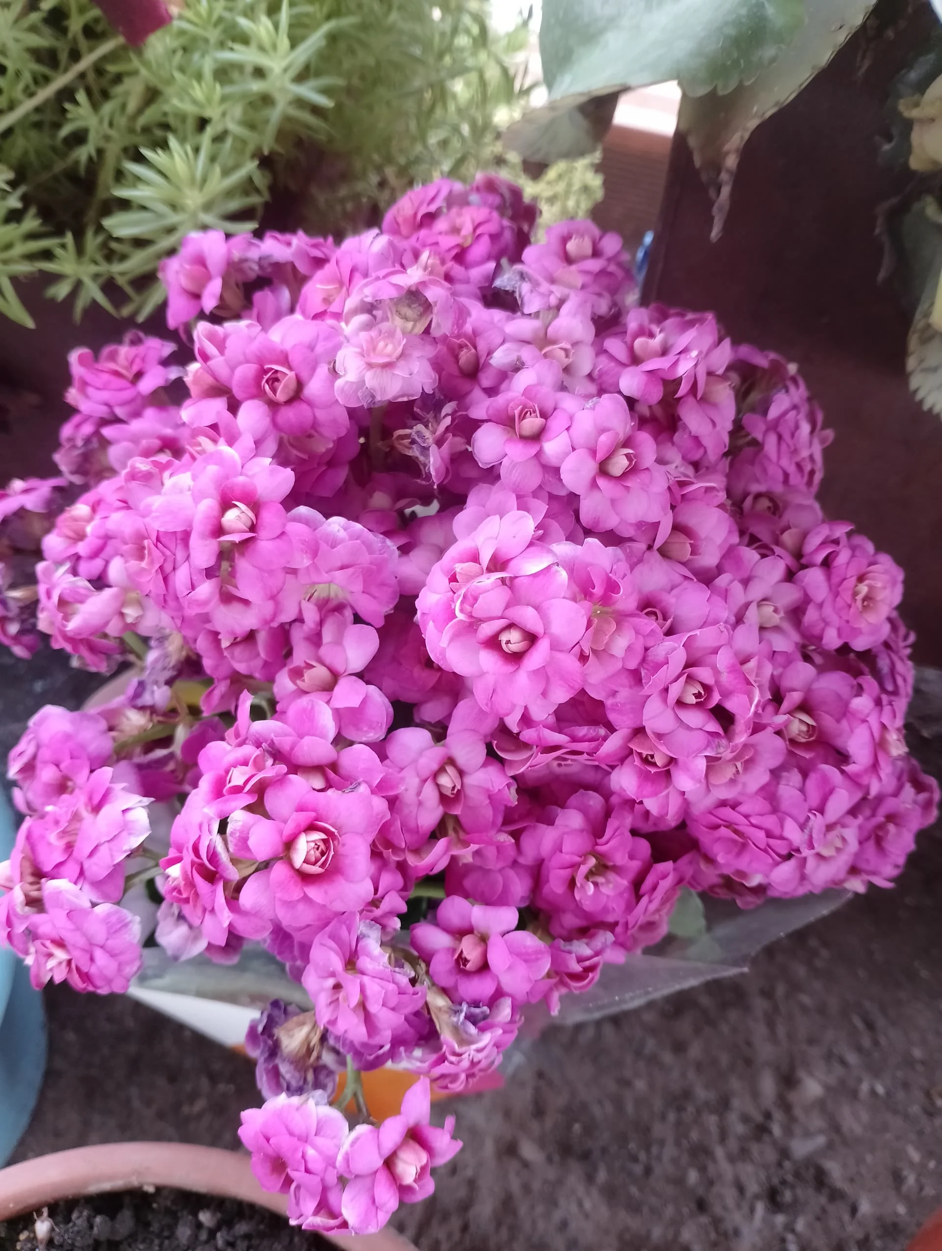 IMG_20240517_171042_HDR