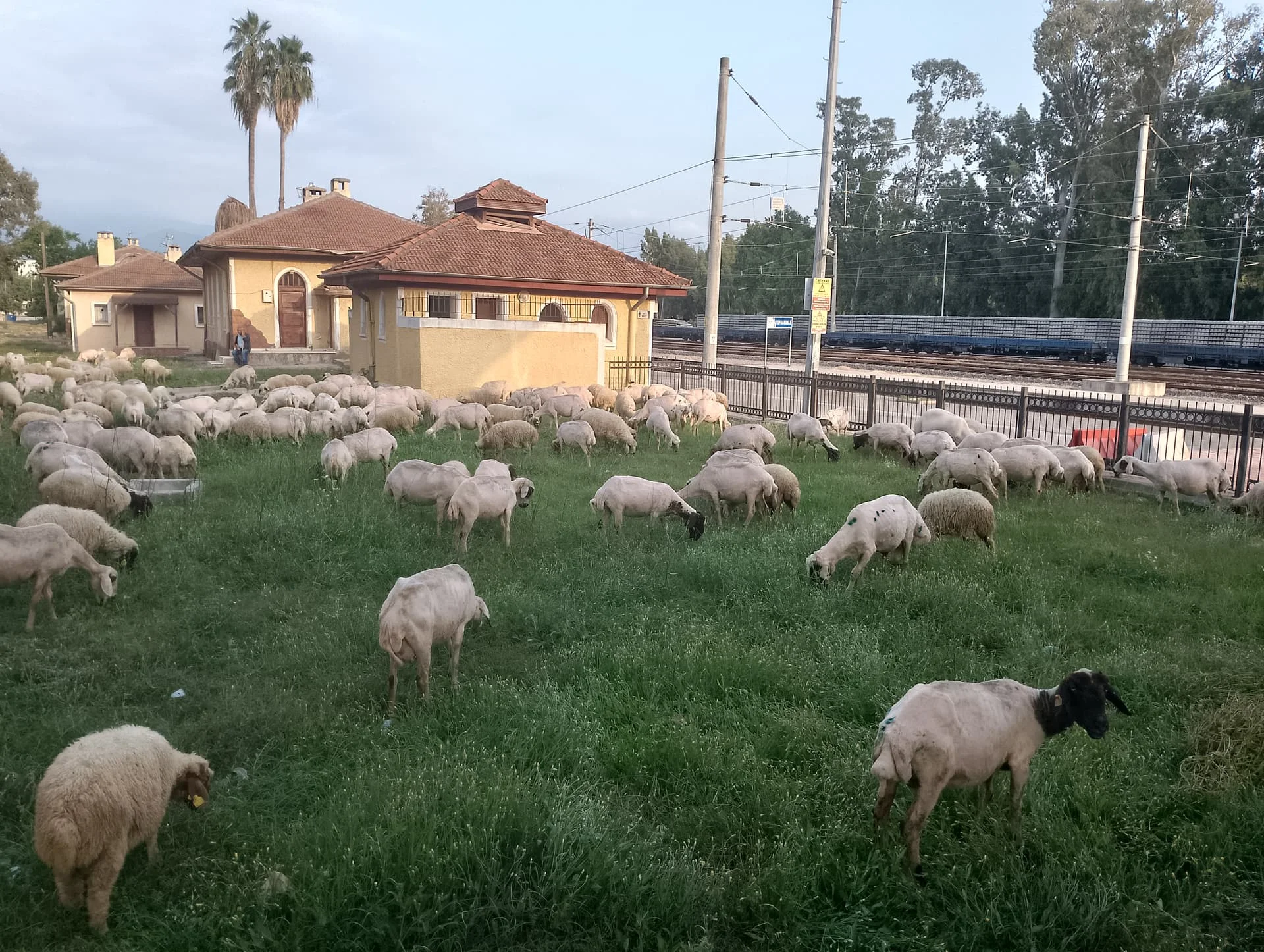 IMG_20240518_182100_HDR