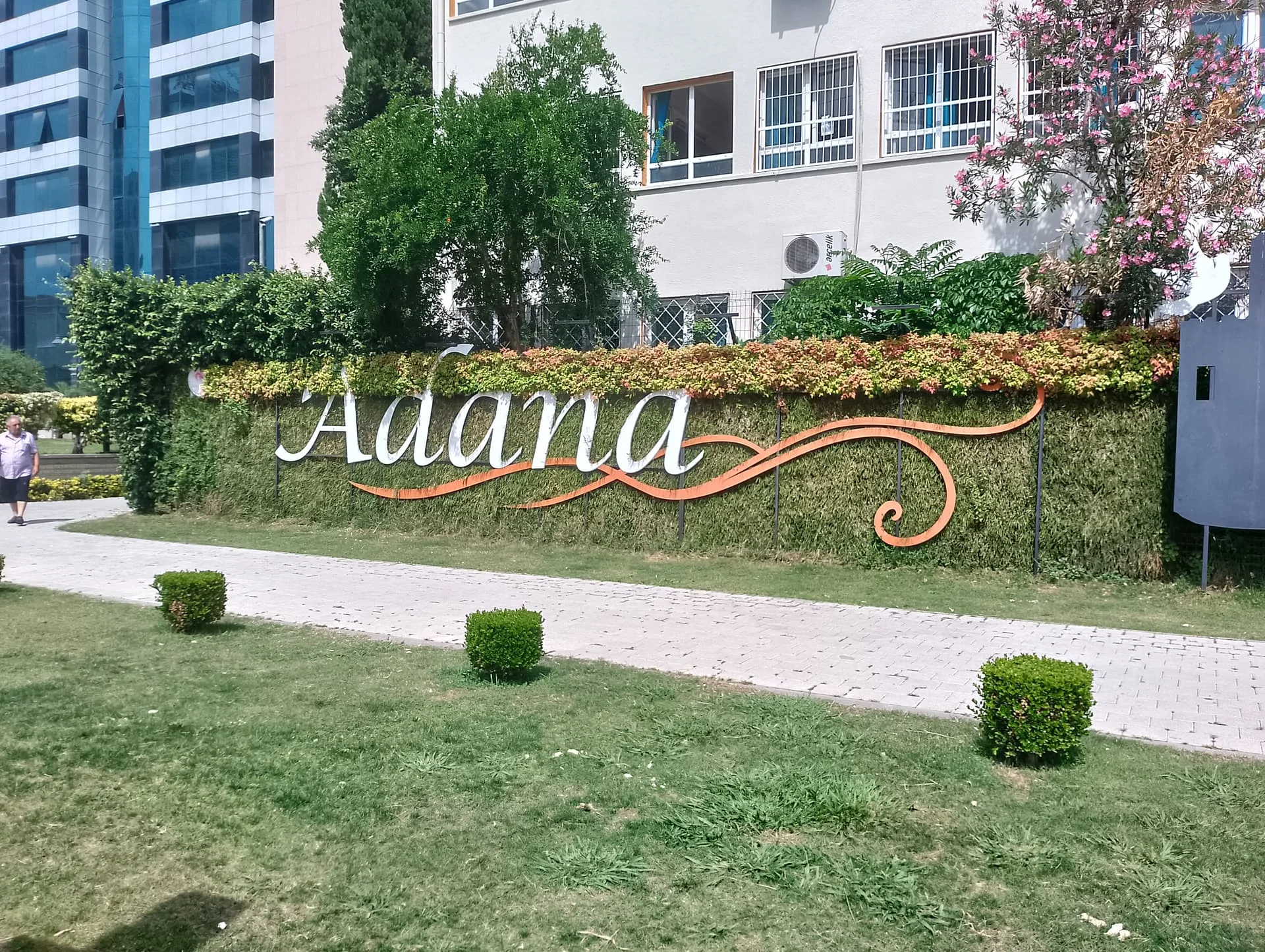 IMG_20240519_144352_HDR