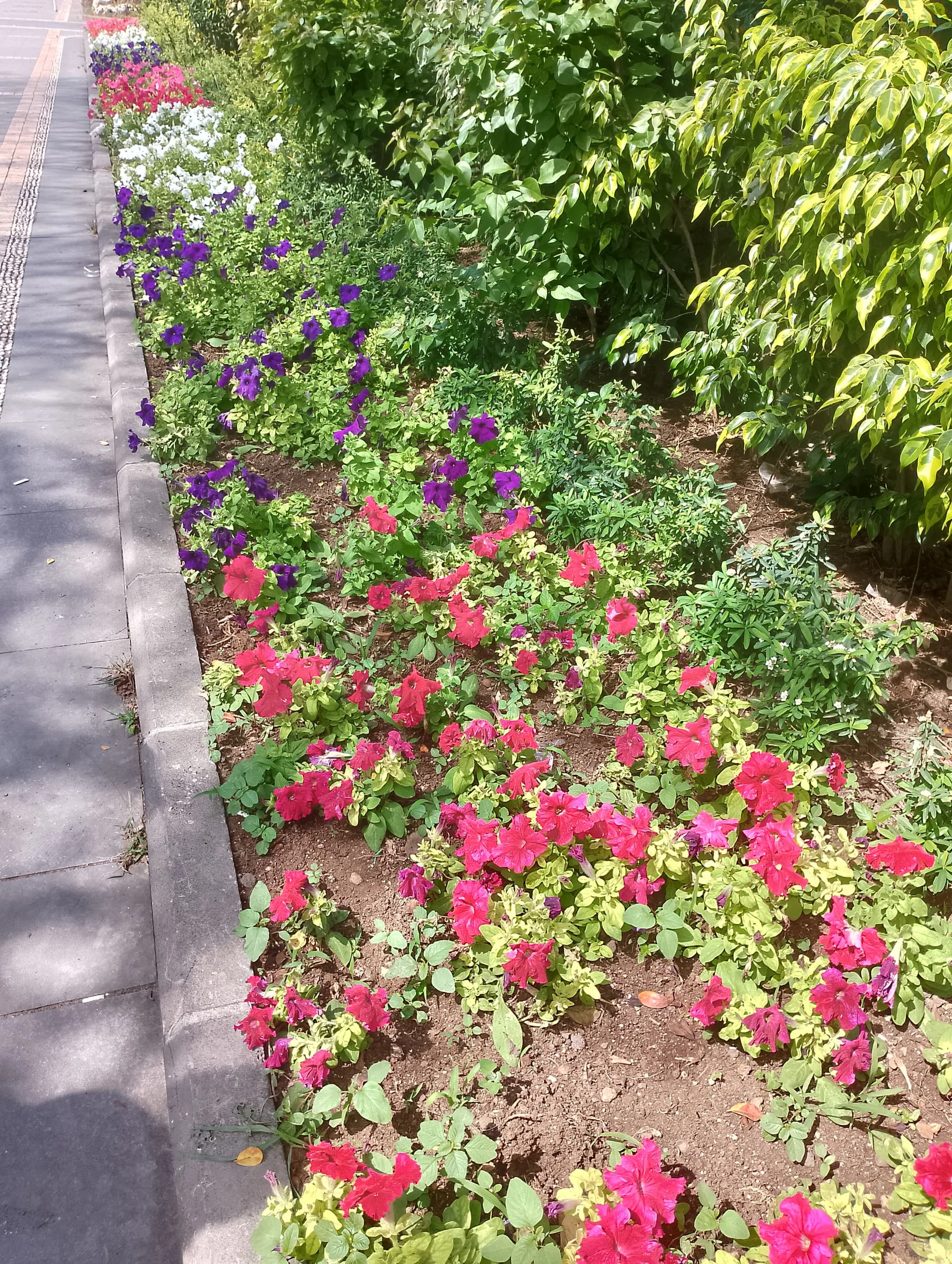 IMG_20240519_144536_HDR