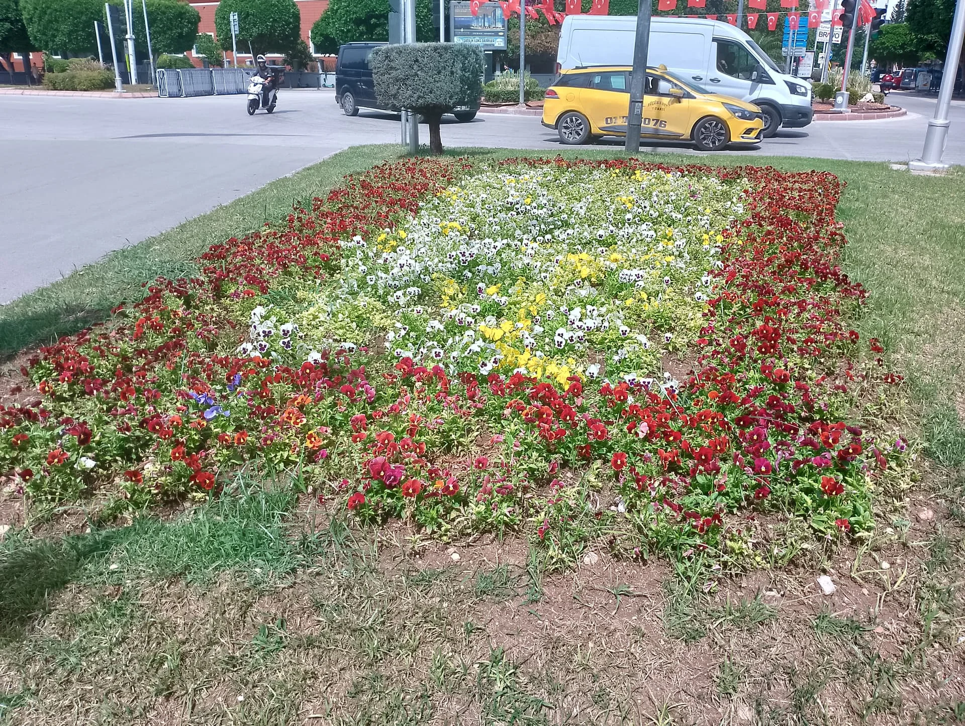 IMG_20240519_145307_HDR