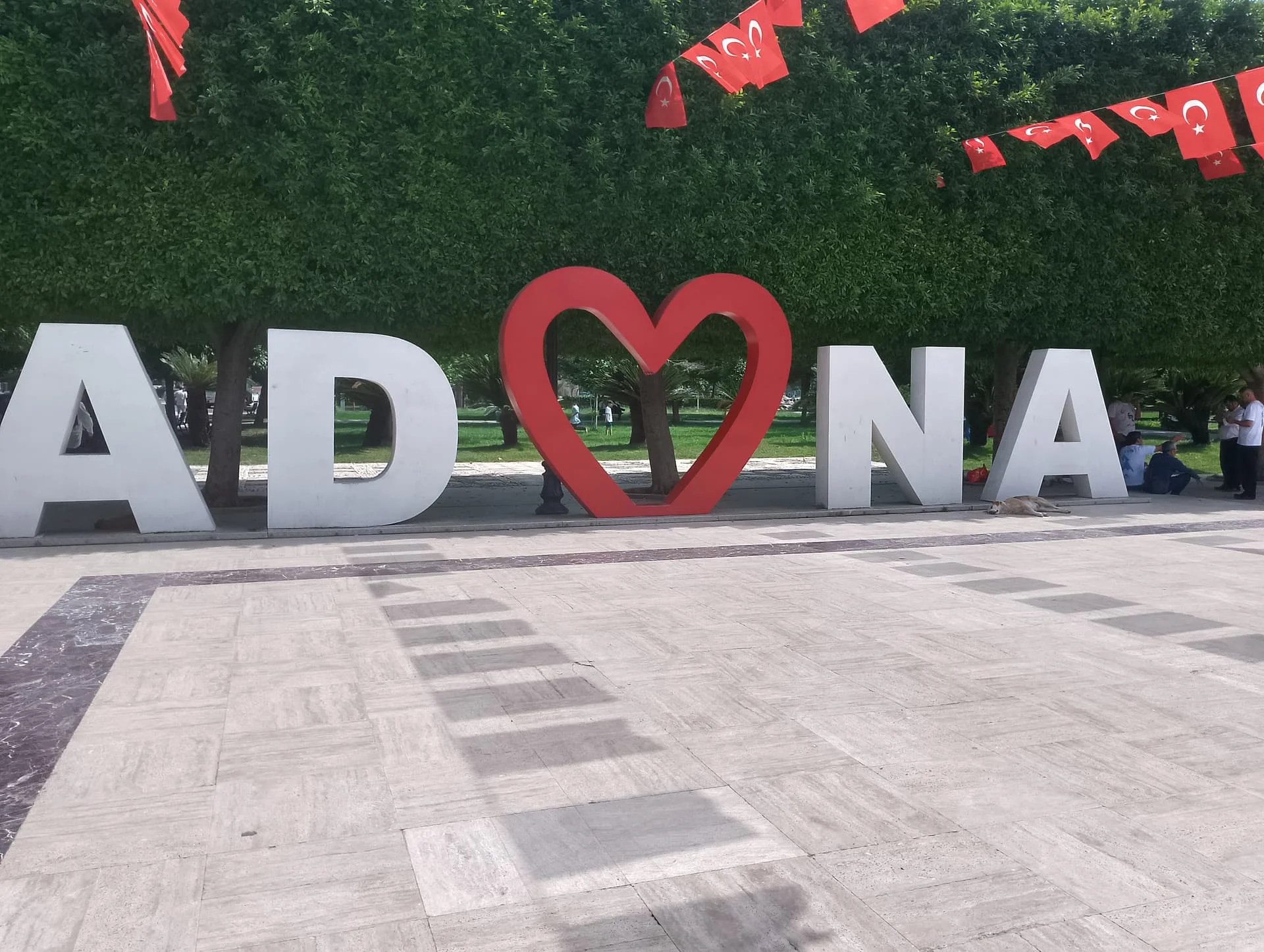 IMG_20240519_145718_HDR