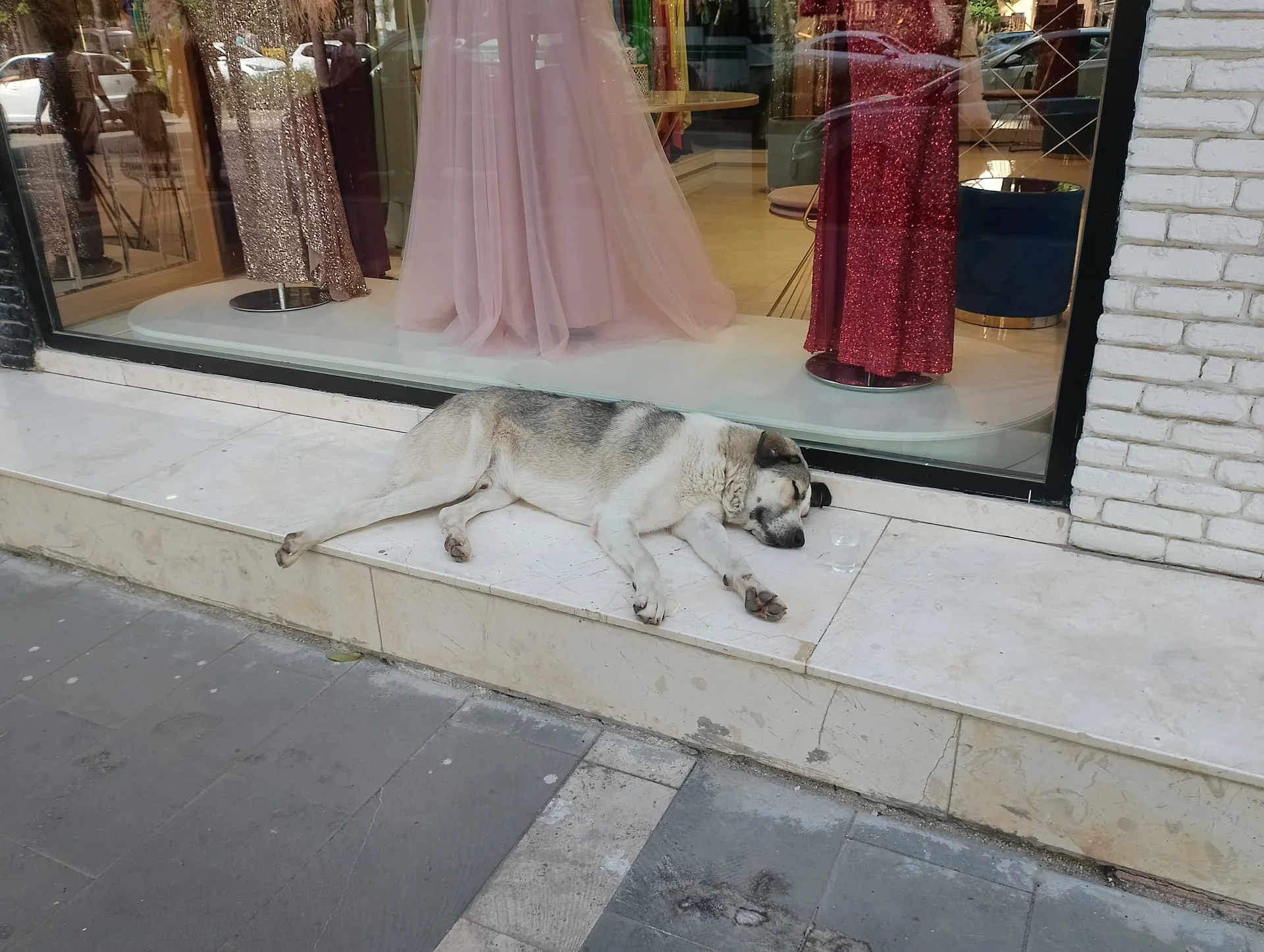 IMG_20240519_153737_HDR