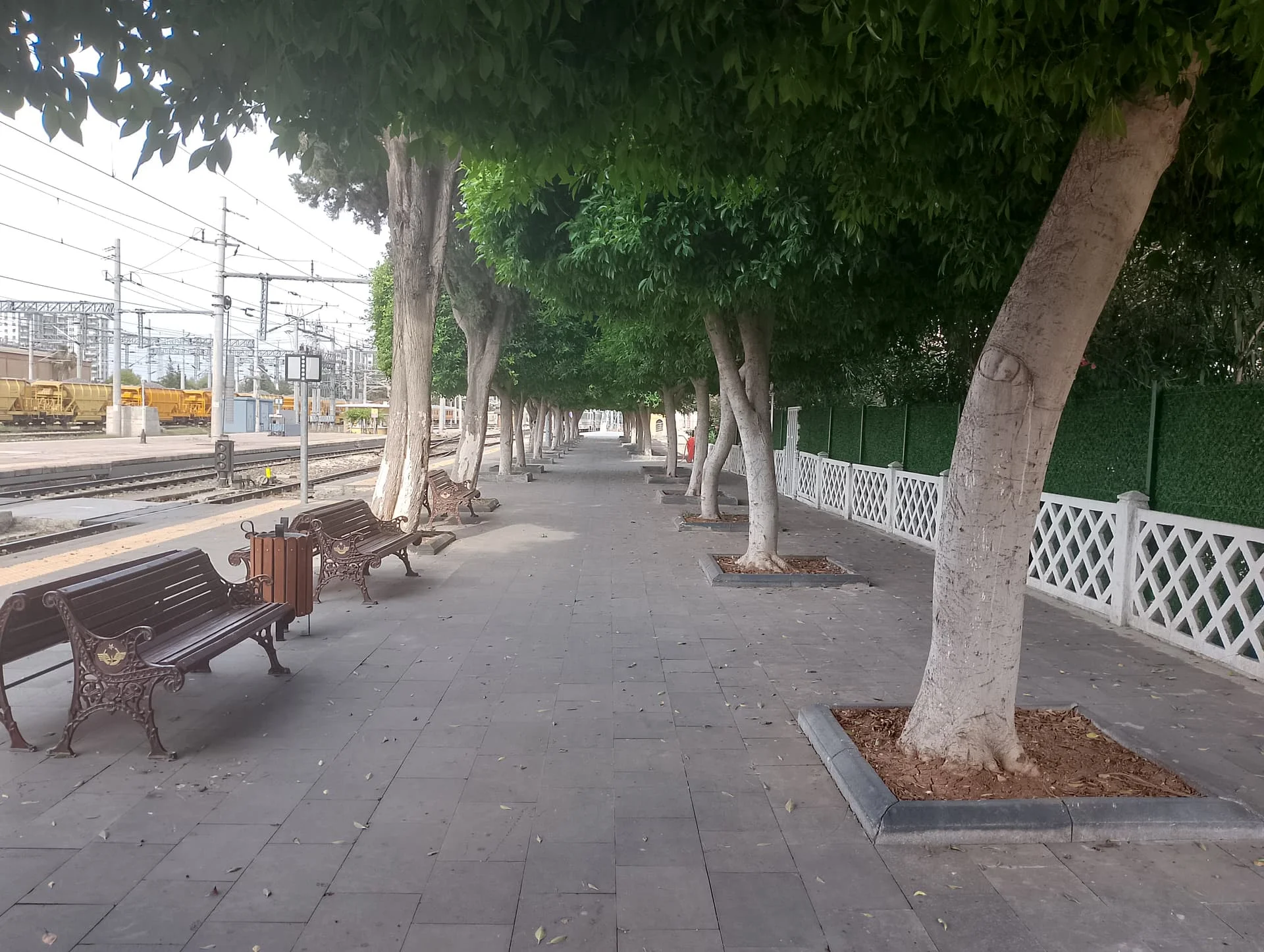 IMG_20240519_162156_HDR