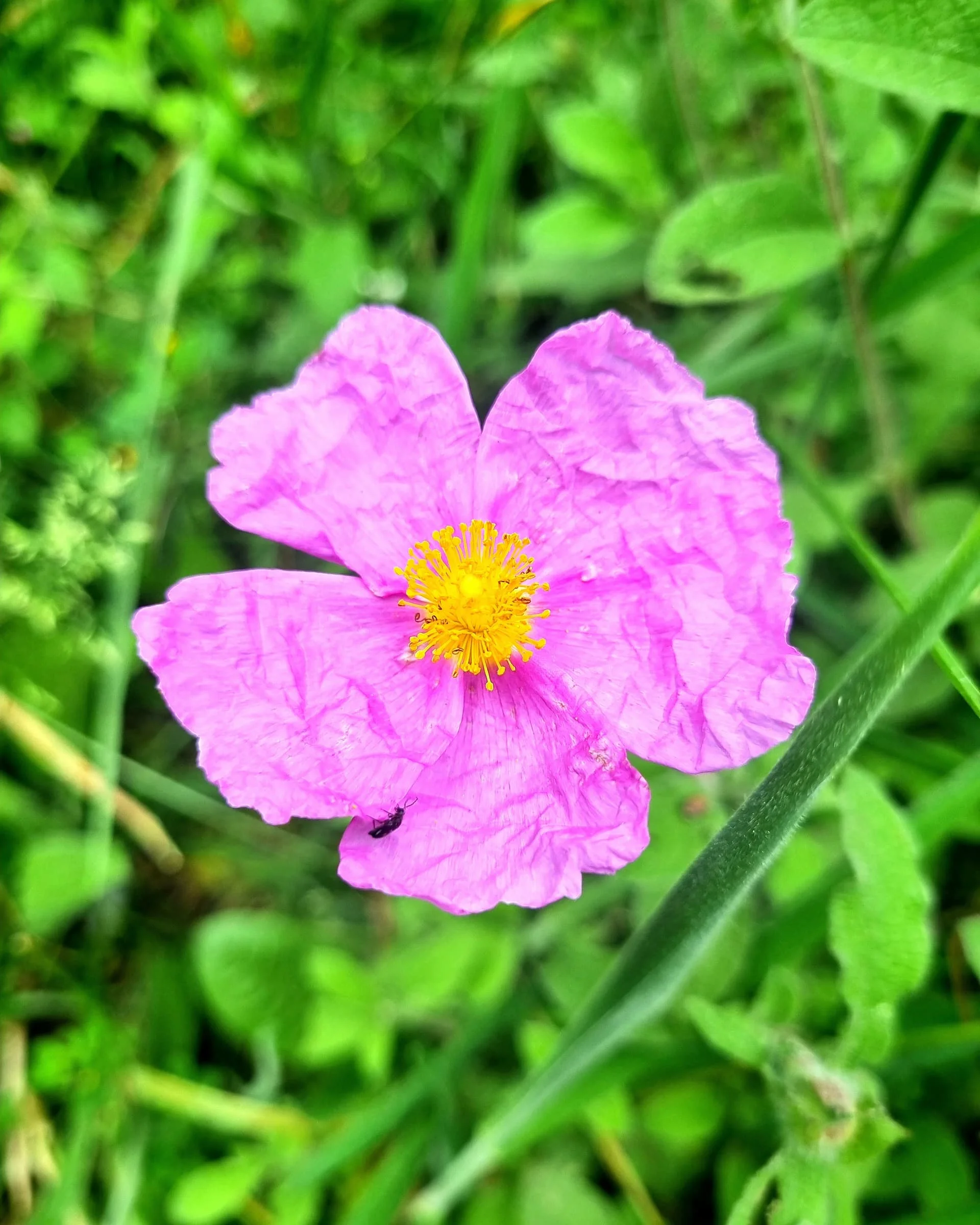 IMG_20240520_091633_096