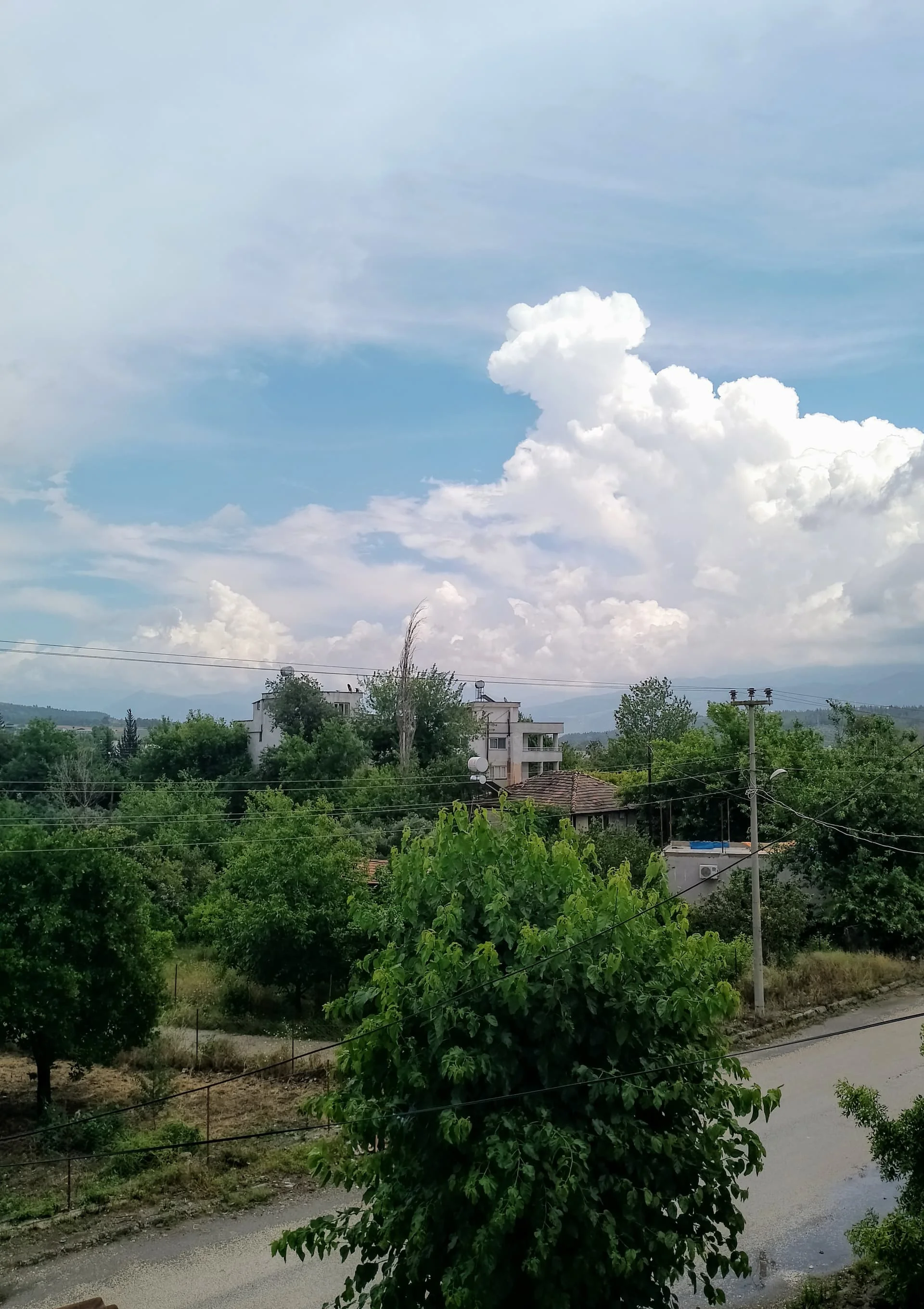 IMG_20240526_133002~2