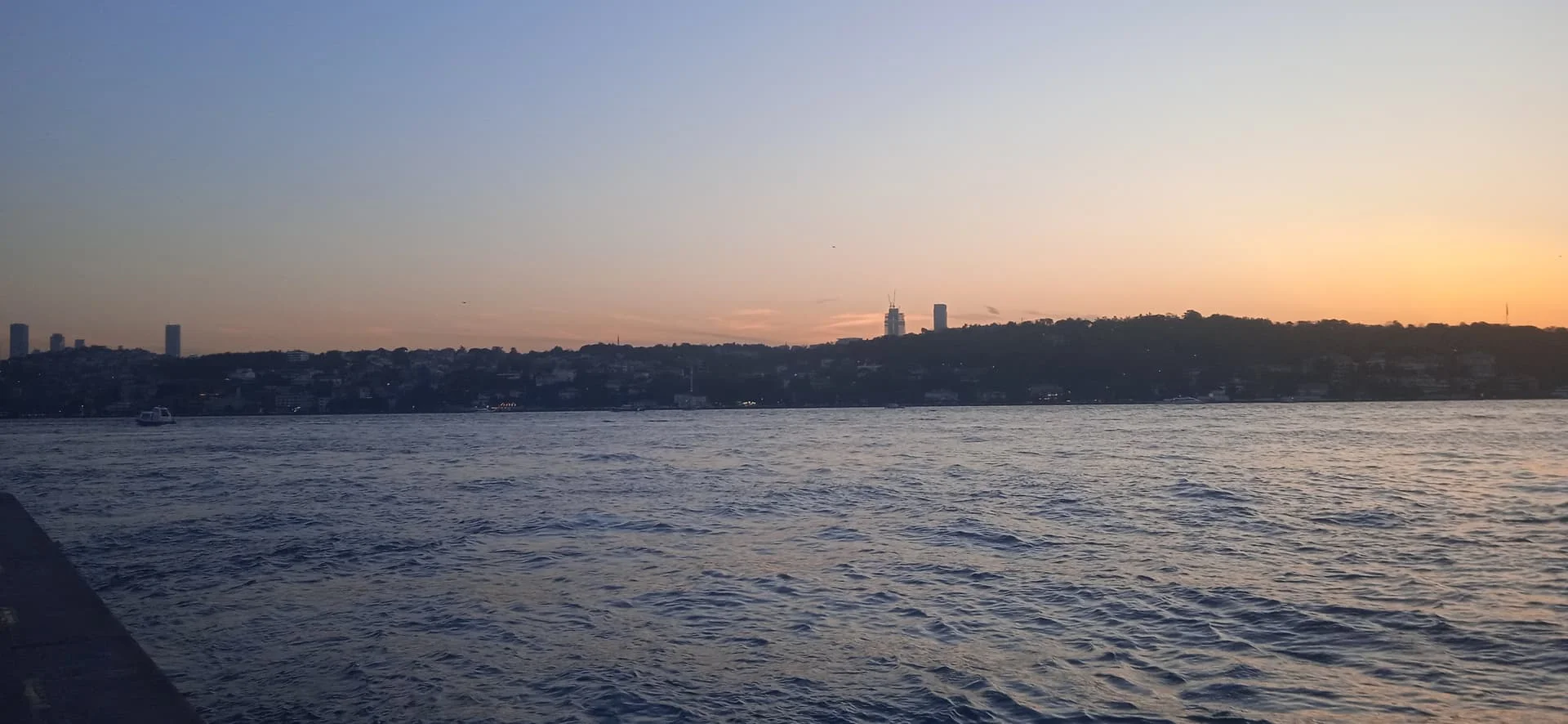 IMG_20240531_203302_1